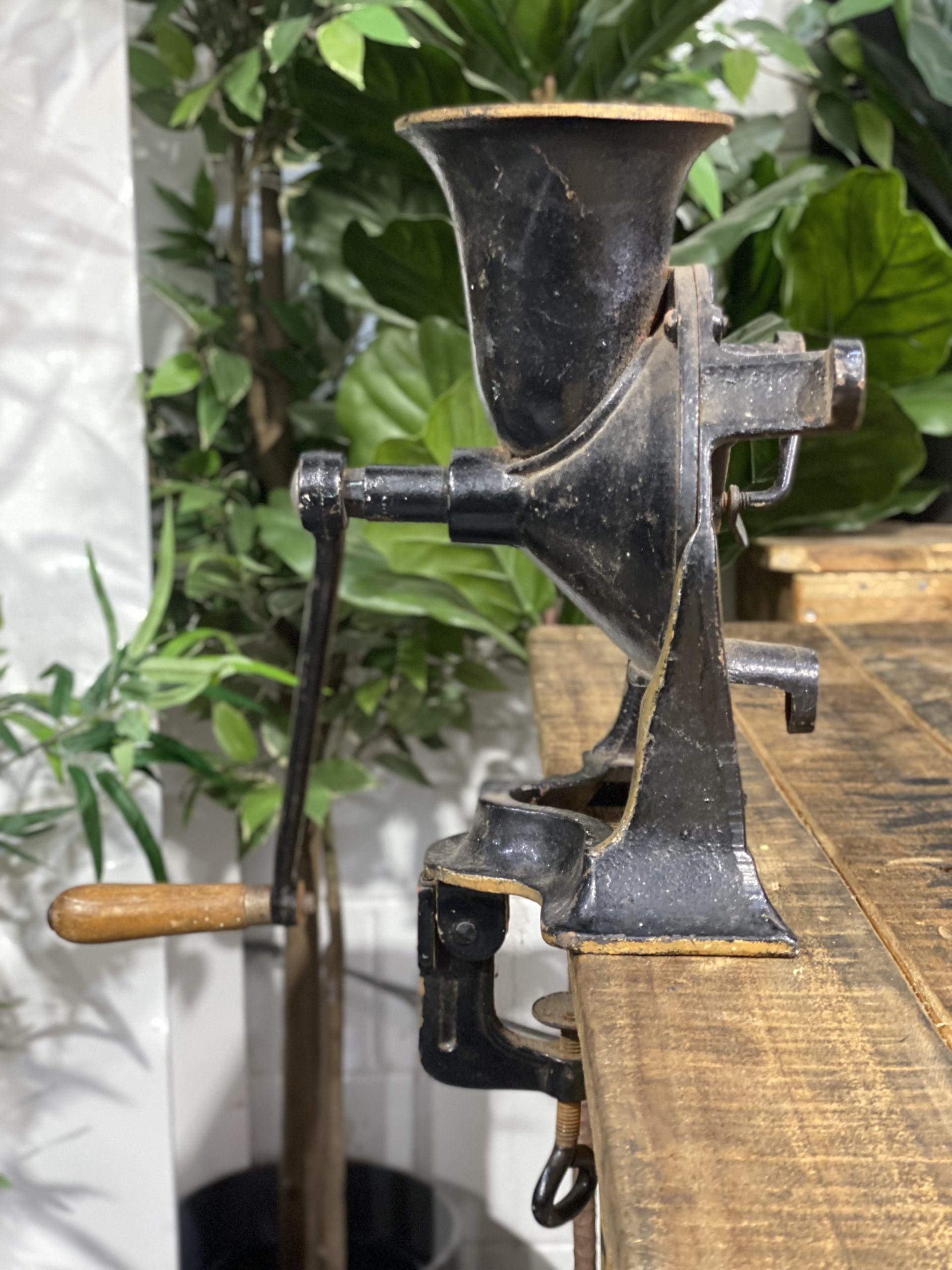 1856 No. 4 Large Spong & Co Ltd Bench Mounted Hand Grinder side view on a wooden table with plants in background.