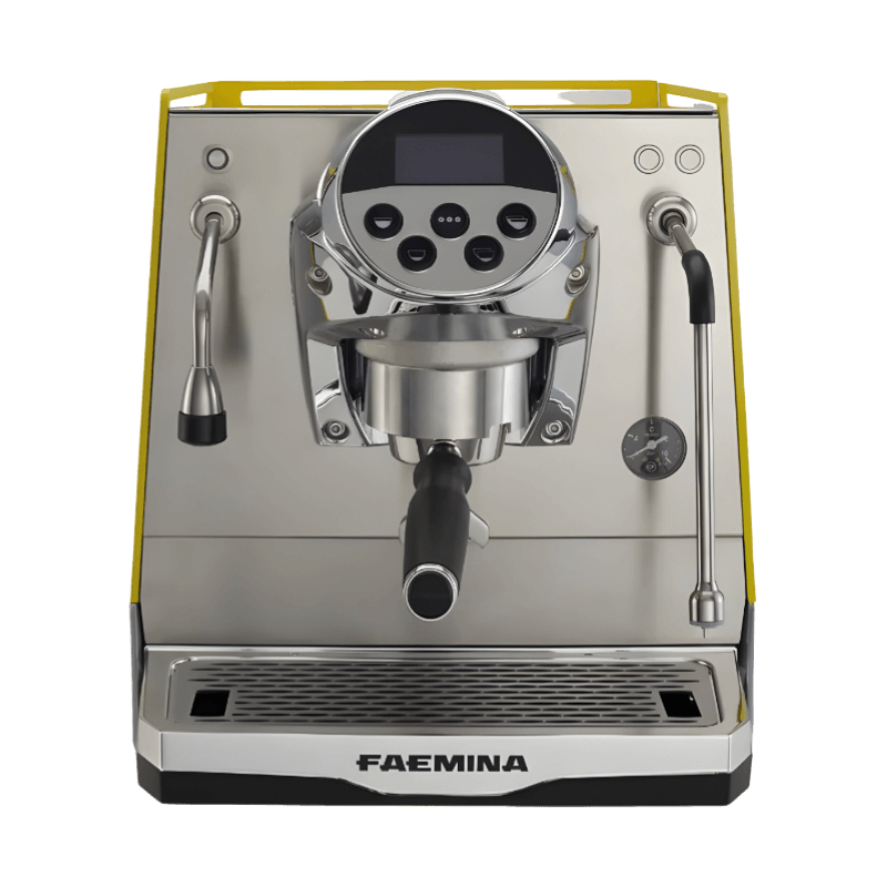 Faemina 1 Group Yellow New