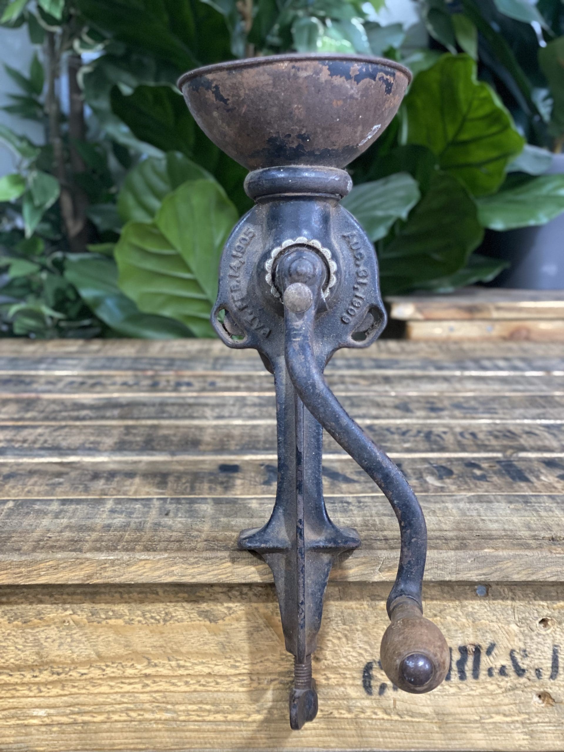 1890’s Cast Iron Black & Green Bench Top Hand Coffee Grinder mounted on wooden surface with greenery in background.