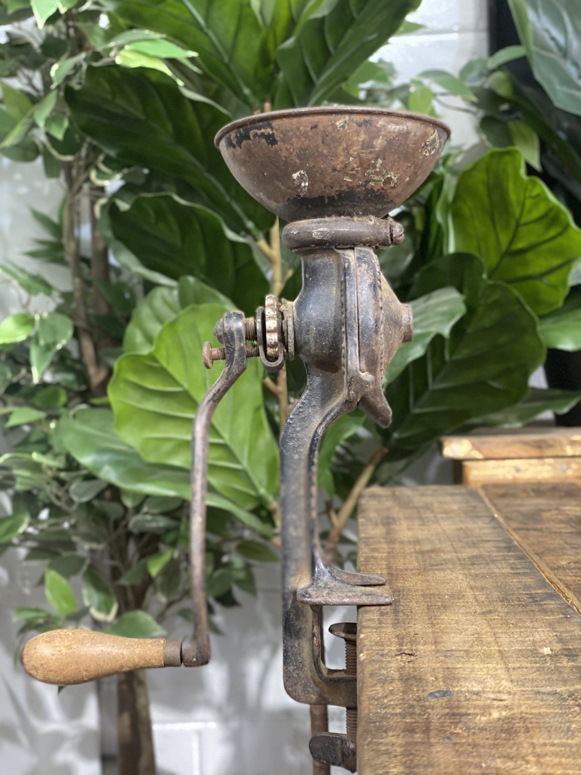 1890’s Cast Iron Black & Green Bench Top Hand Coffee Grinder side view with wooden handle and rustic finish.