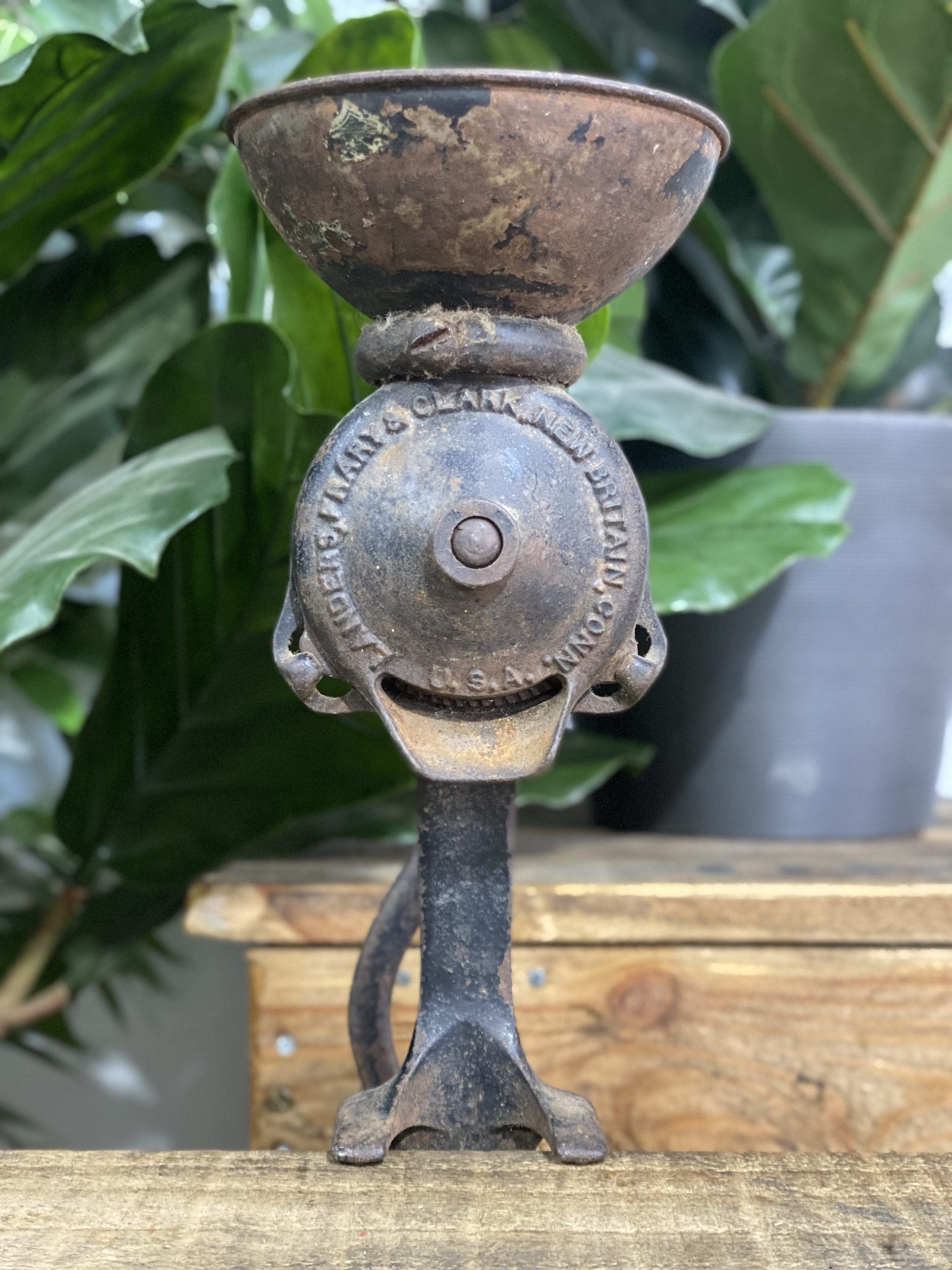 #150 1890’s Cast Iron Black & Green Bench Top Hand Coffee Grinder