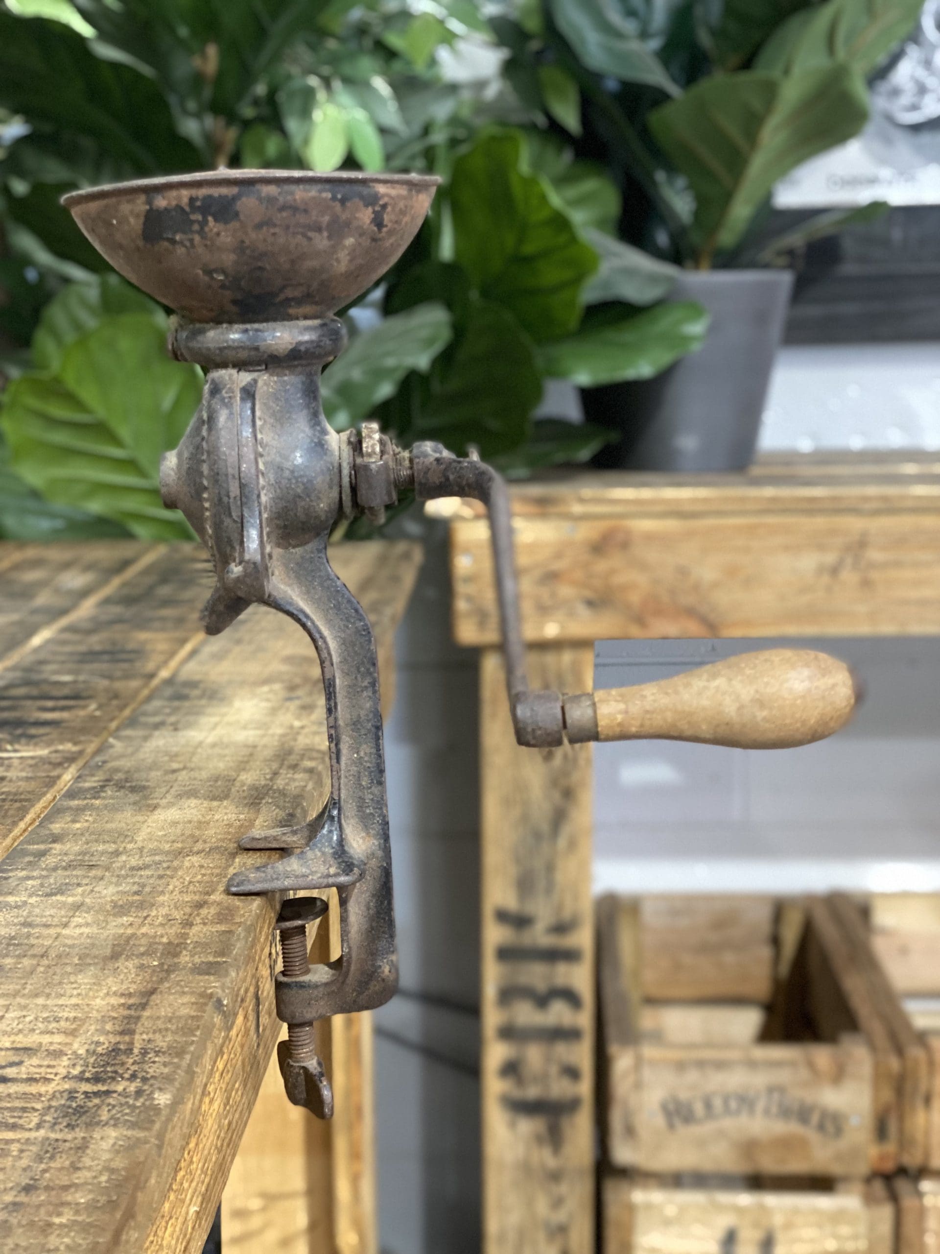 1890’s Cast Iron Black & Green Bench Top Hand Coffee Grinder on a wooden table with greenery in the background.