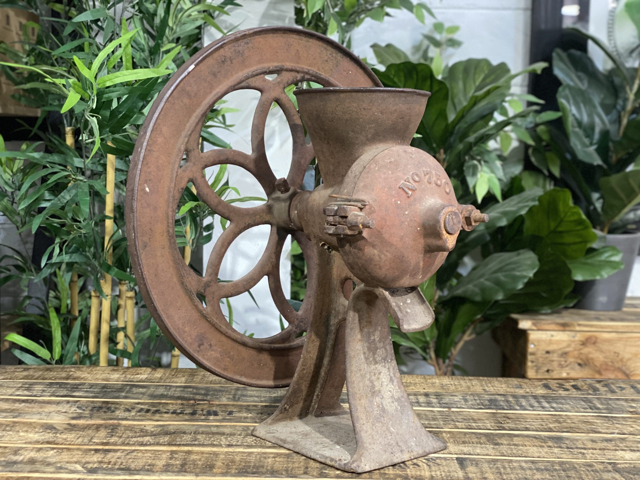 1870’s Lassetter Cast Iron Single Wheel Large Hand Coffee Grinder