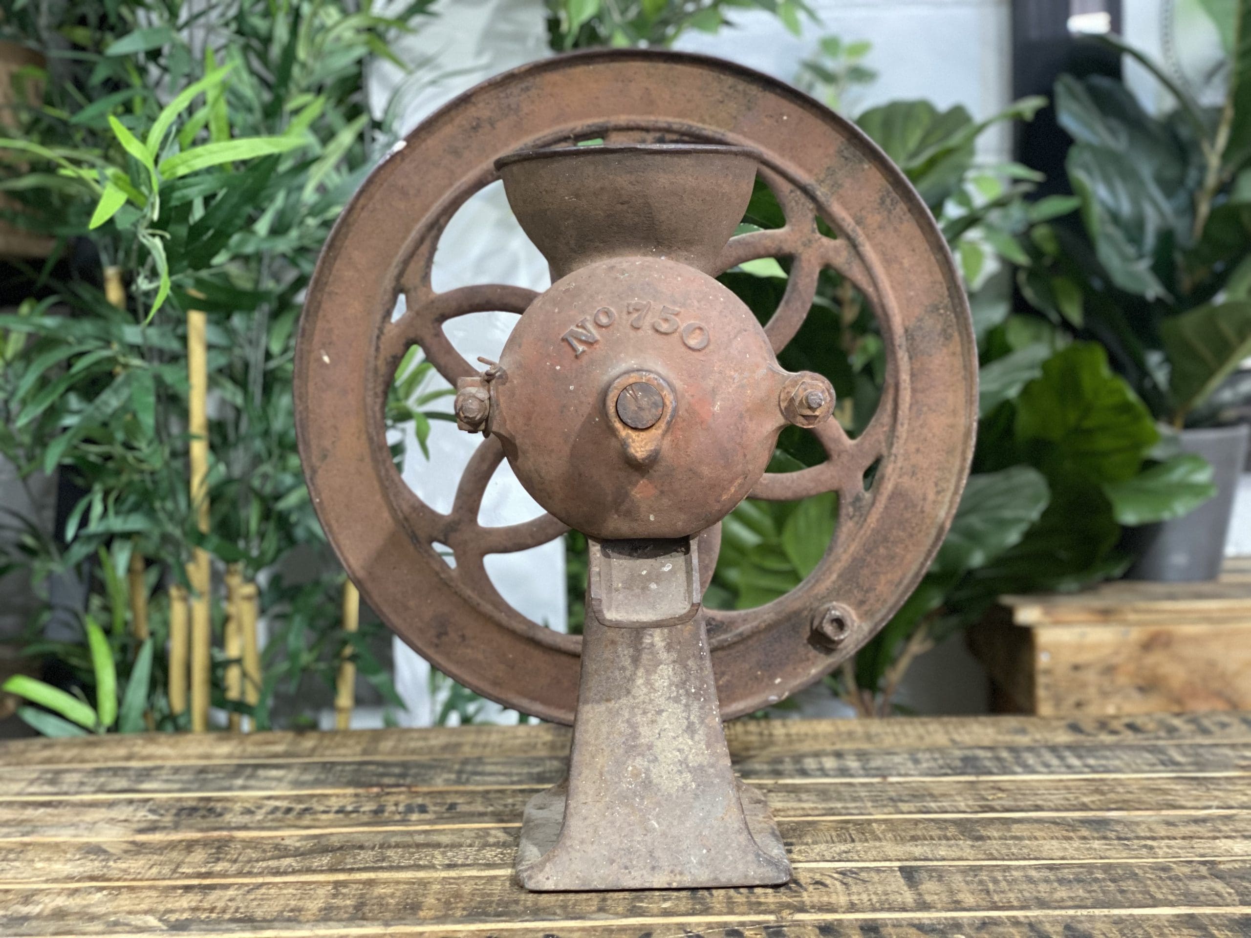 1870’s Lassetter Cast Iron Single Wheel Large Hand Coffee Grinder