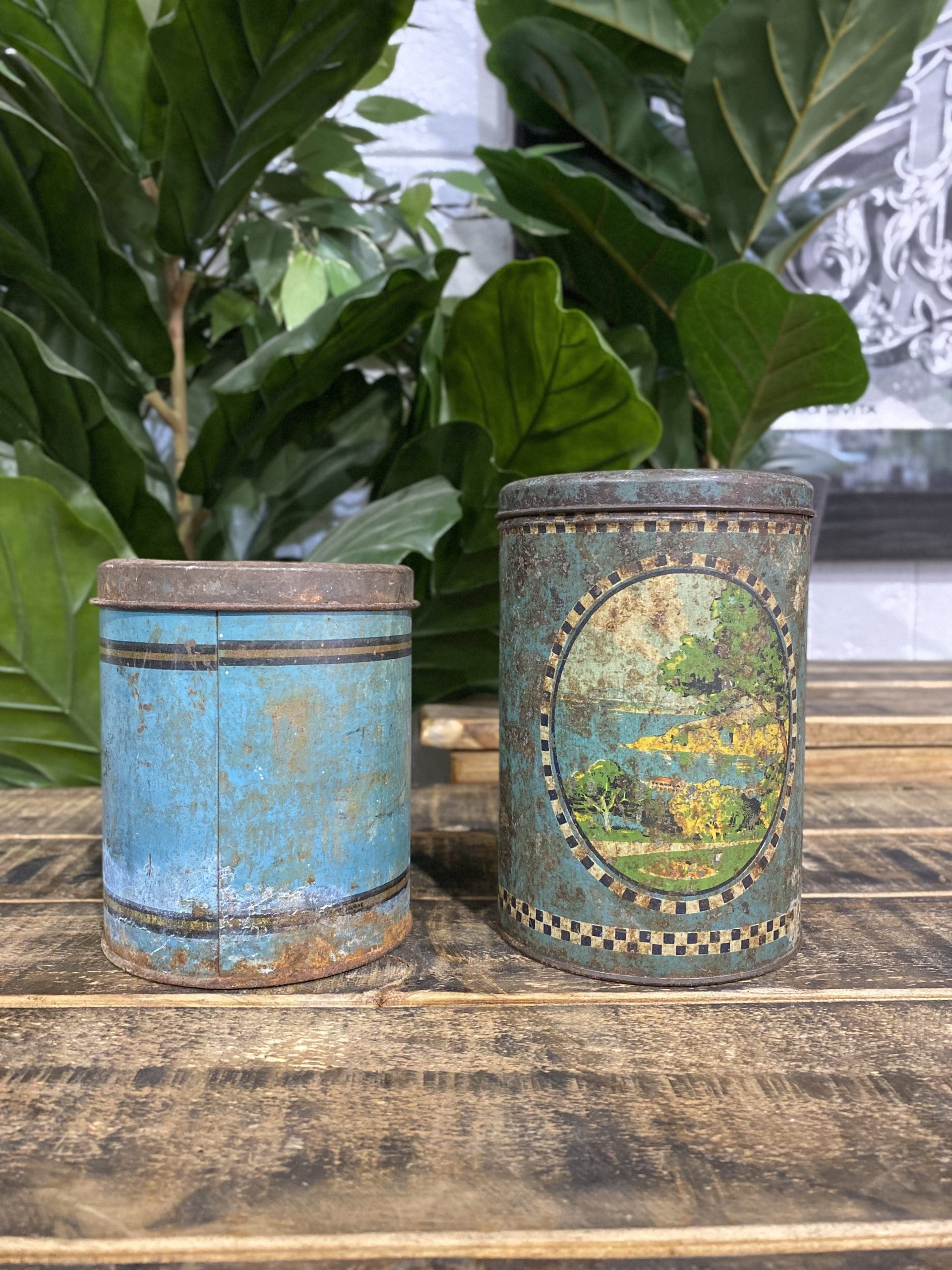 #258 1940’s Chicory Coffee Tin & Coffee Tin Dual Package