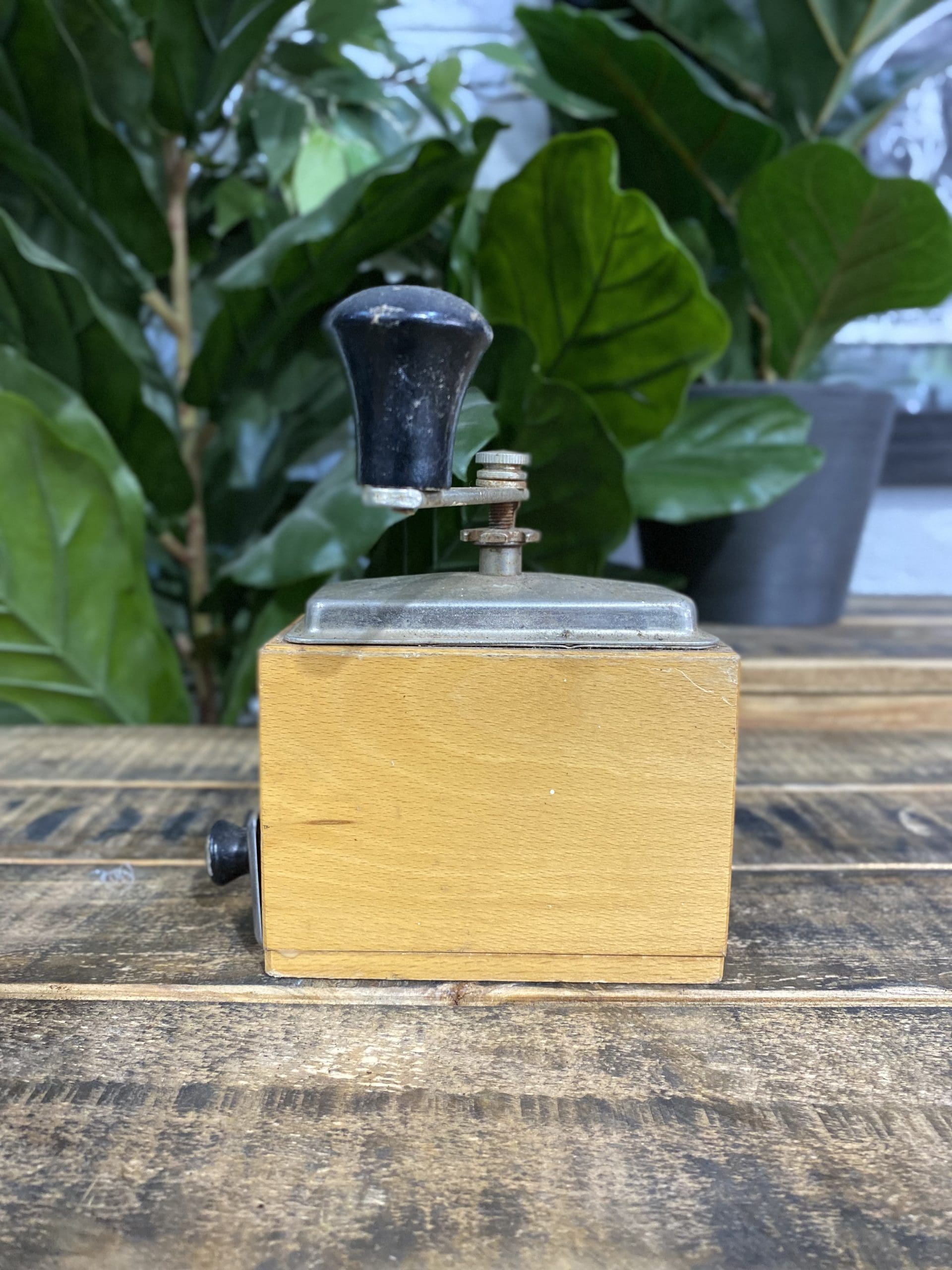 #33 1930’s European Oblong Wooden Hand Coffee Grinder