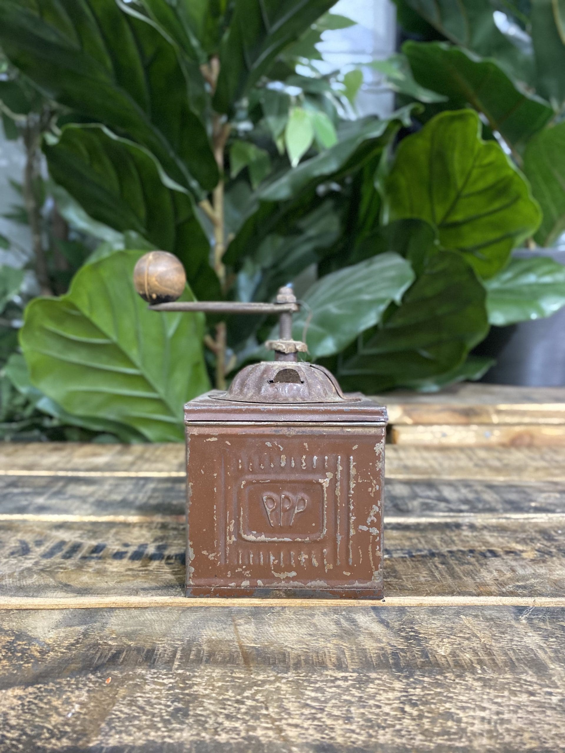 1880’s PPP Label Box Hand Coffee Grinder