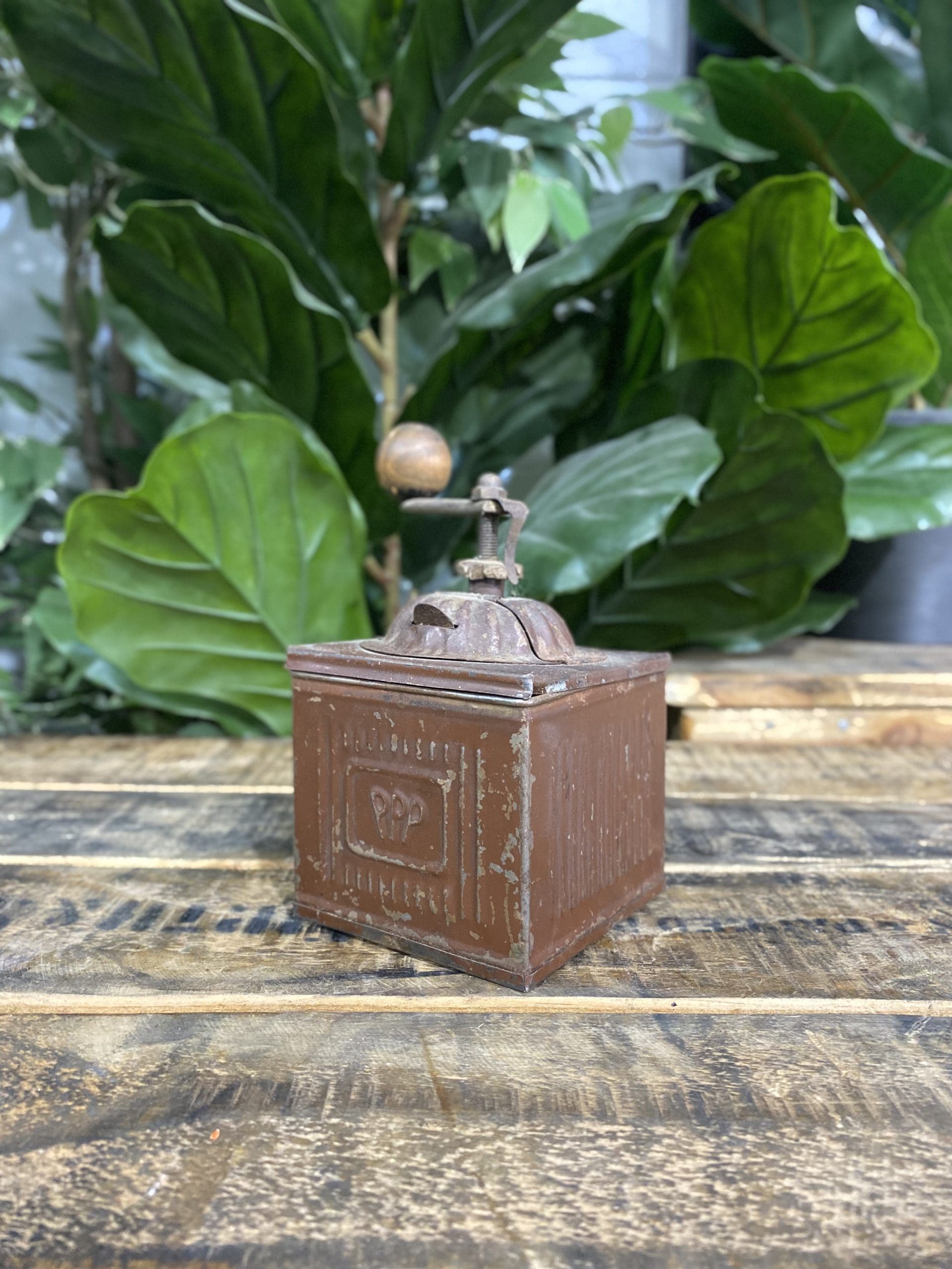 1880’s PPP Label Box Hand Coffee Grinder