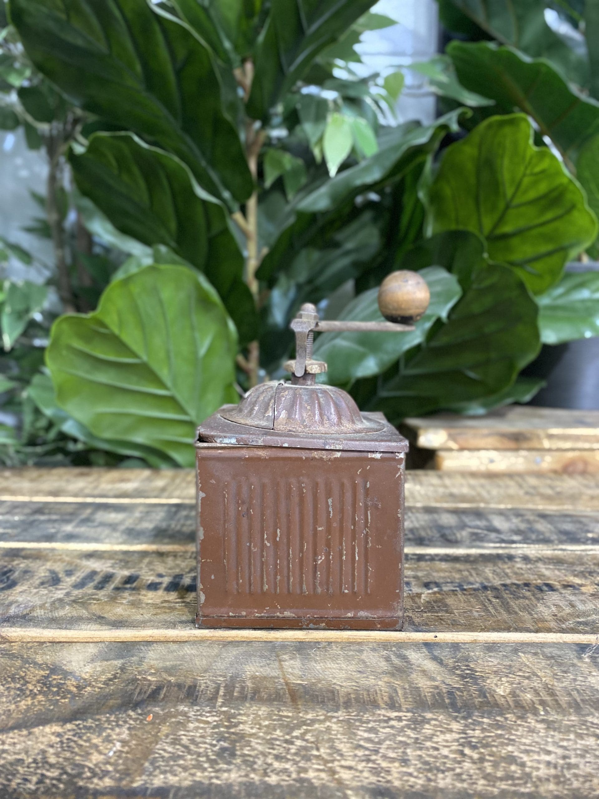 1880’s PPP Label Box Hand Coffee Grinder