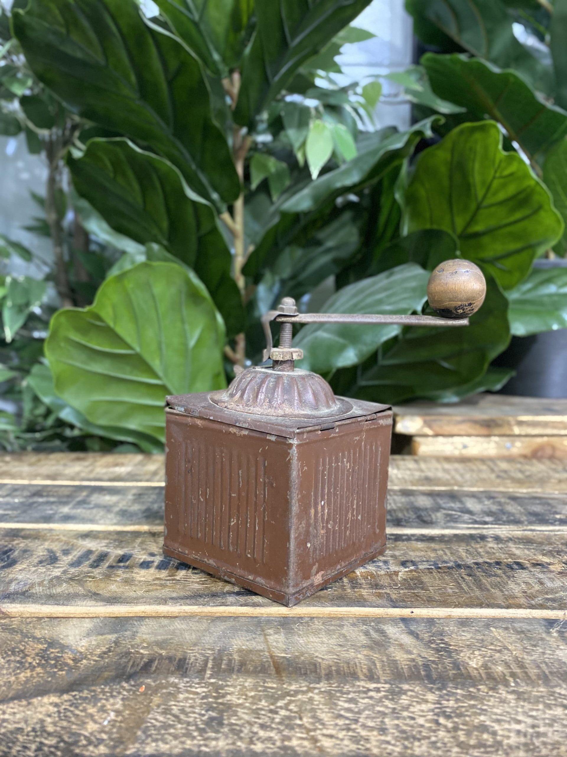 1880’s PPP Label Box Hand Coffee Grinder