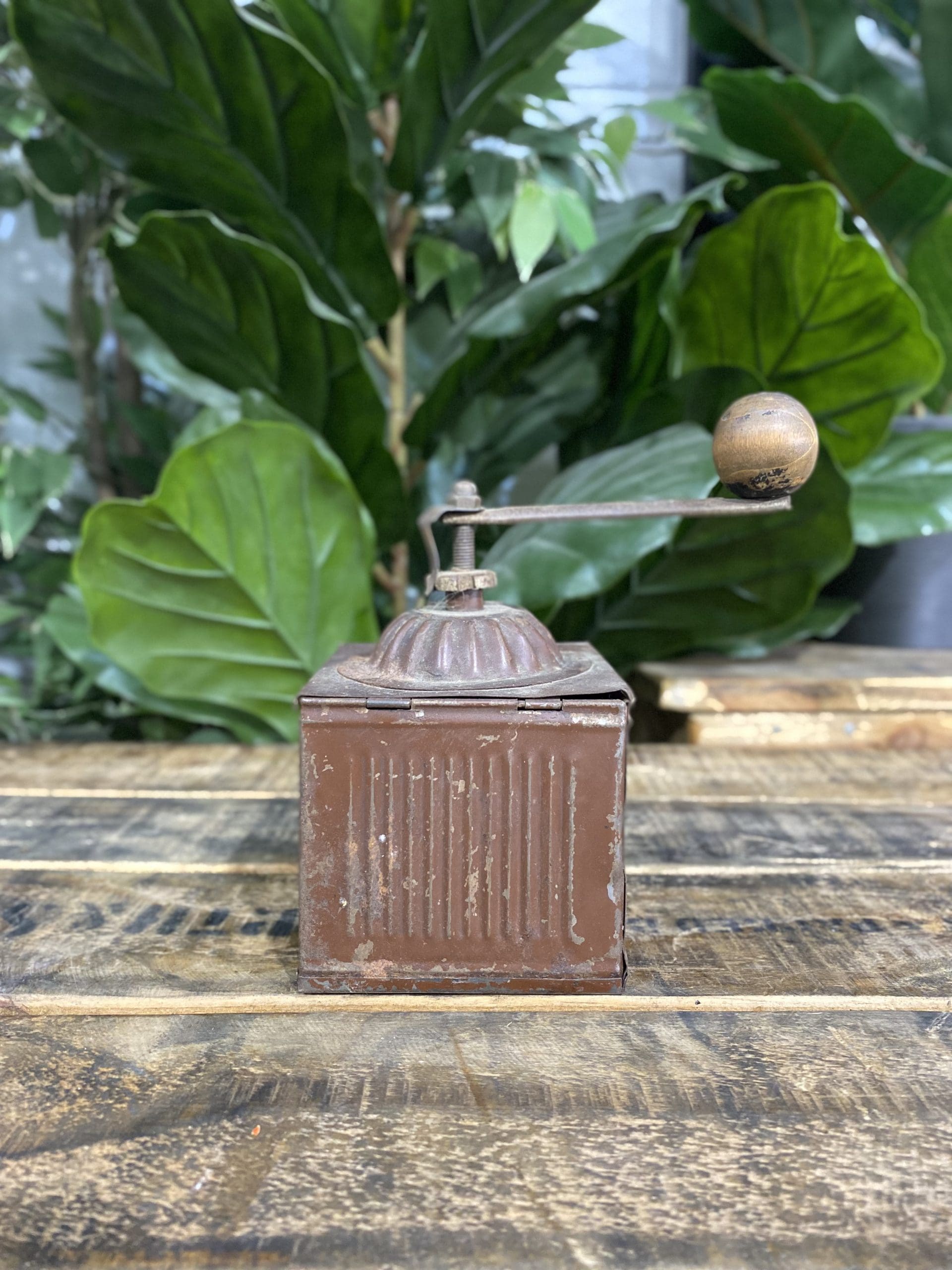 1880’s PPP Label Box Hand Coffee Grinder