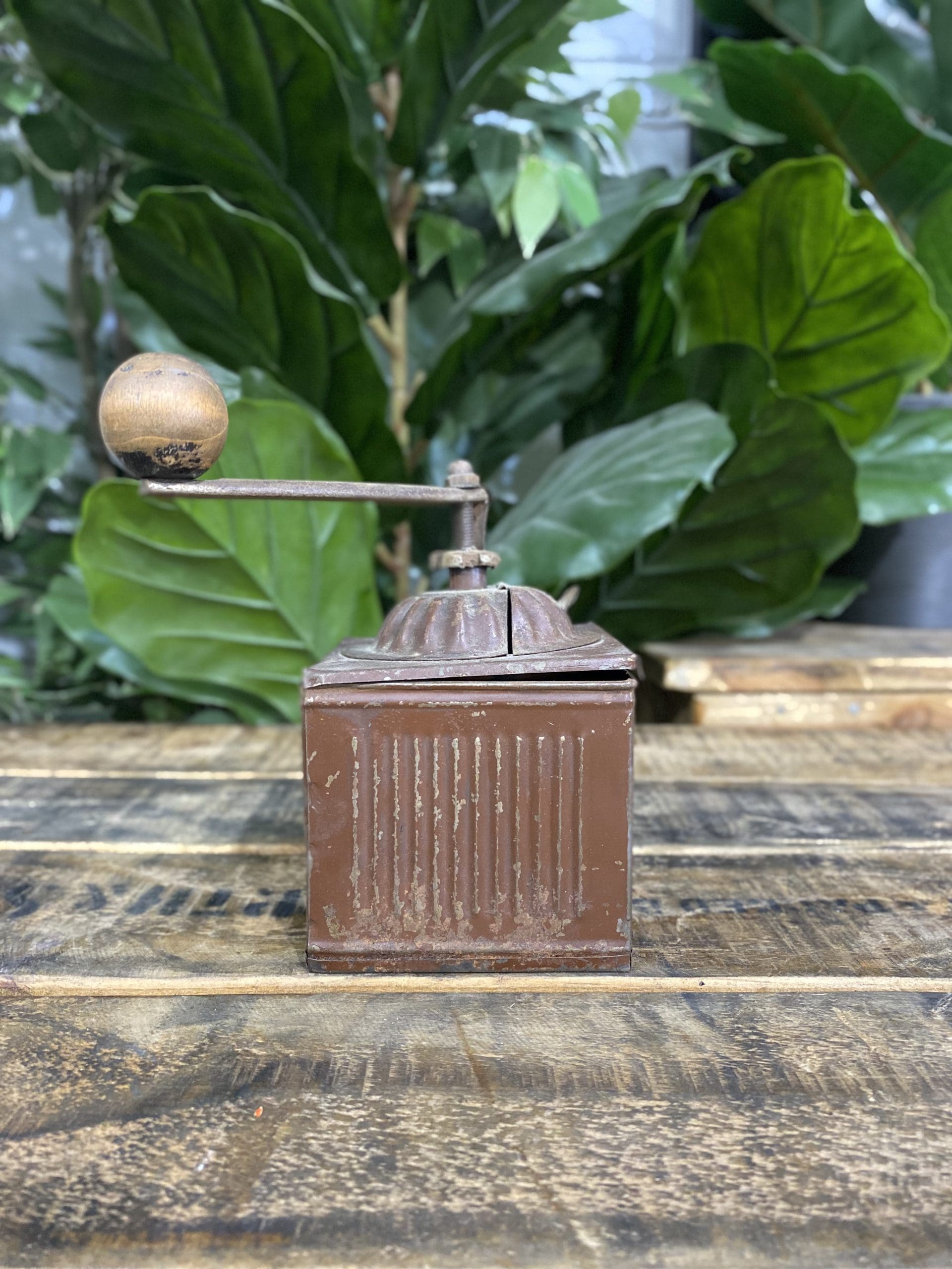 1880’s PPP Label Box Hand Coffee Grinder