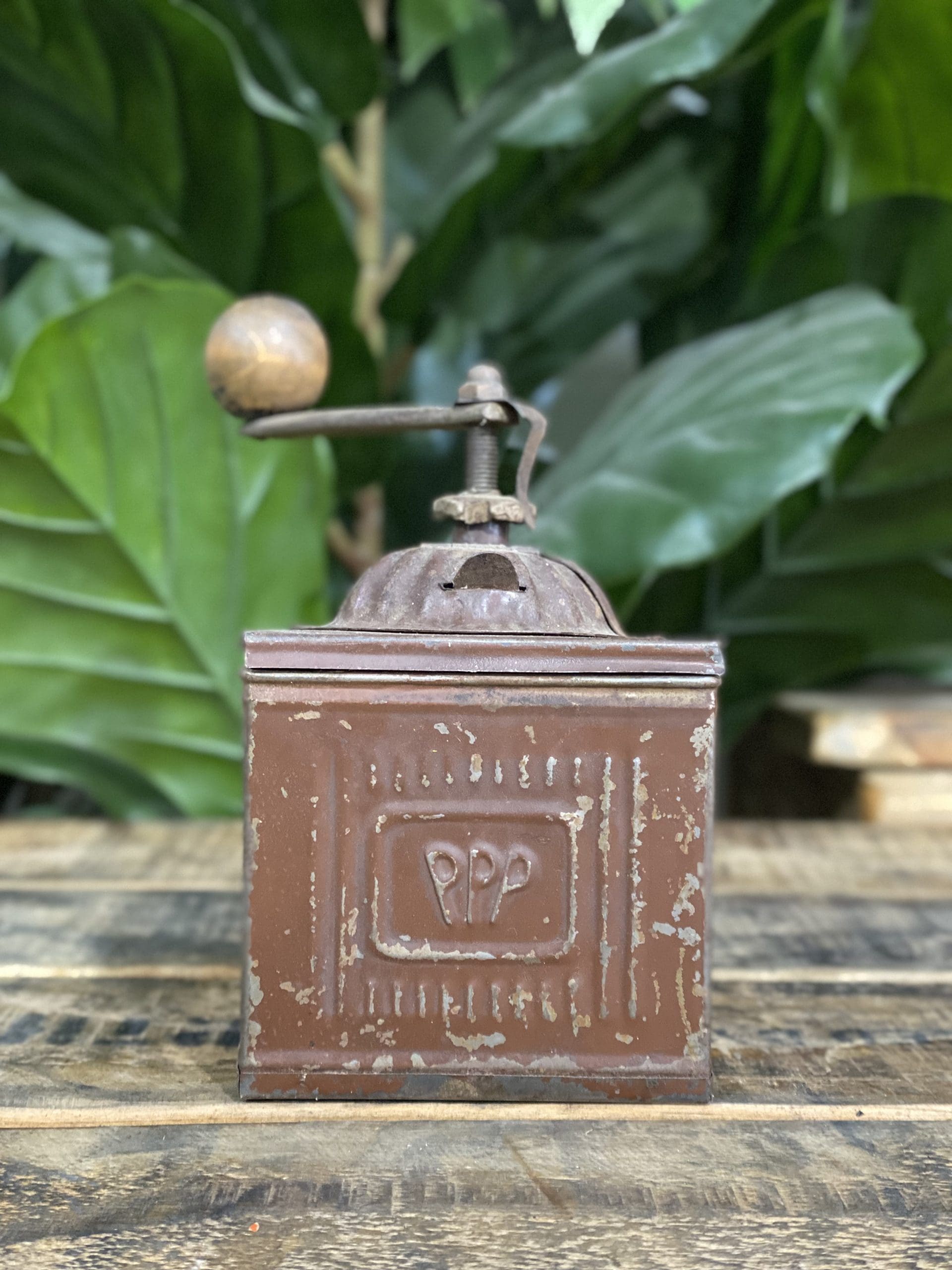 1880’s PPP Label Box Hand Coffee Grinder