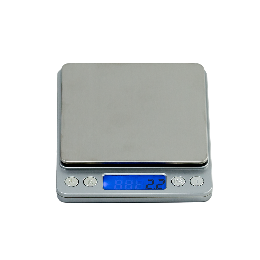 Precision Digital Scale - image 1