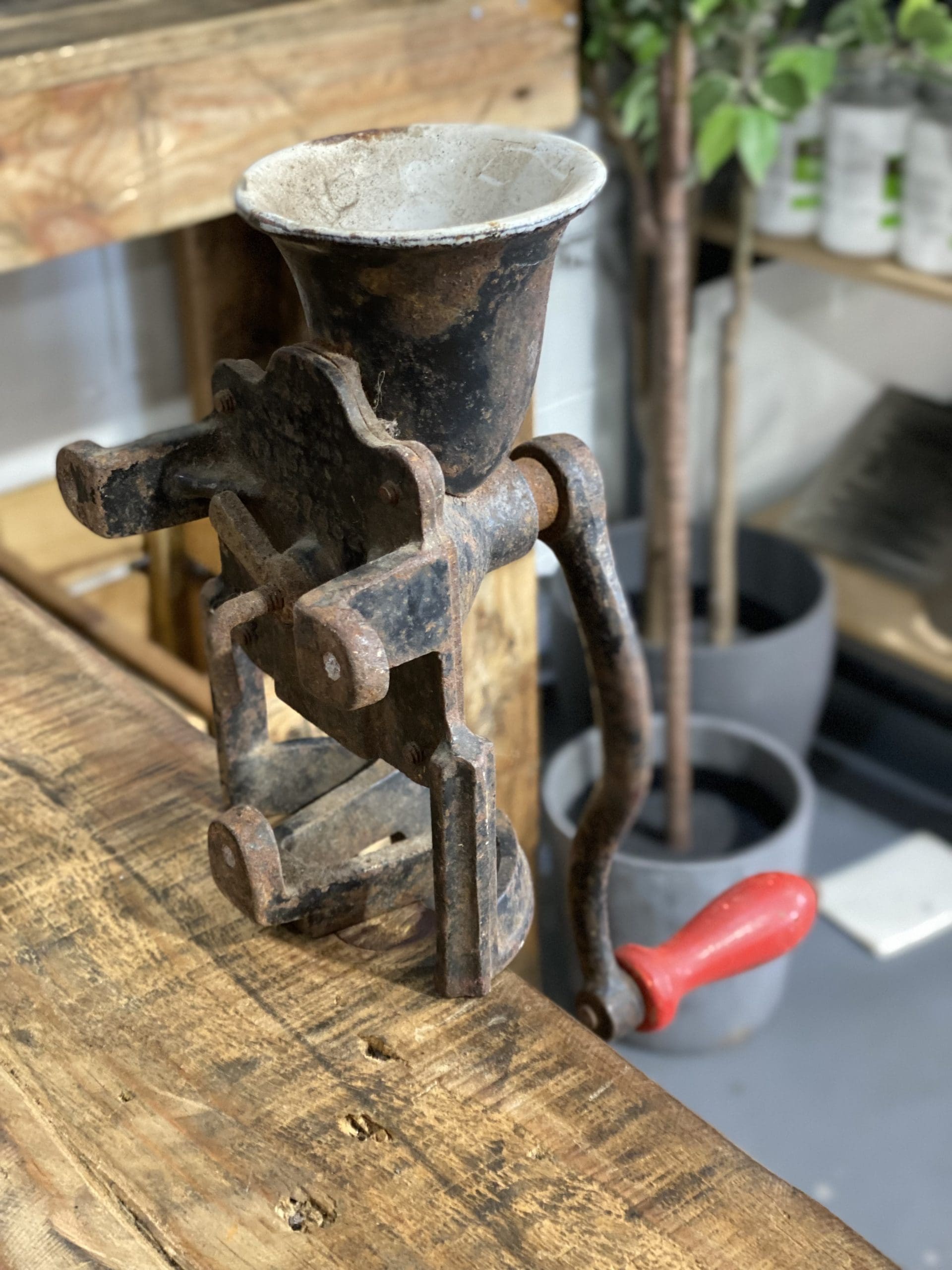 #24 1900’s Beatrice Bench Top Hand Coffee Grinder