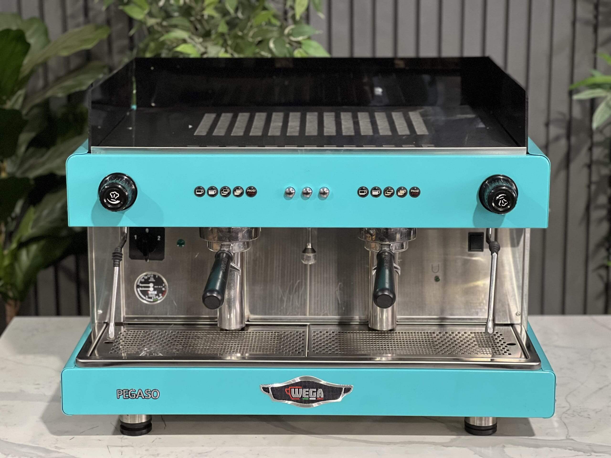 Wega Pegaso 2 Group Aqua - Used