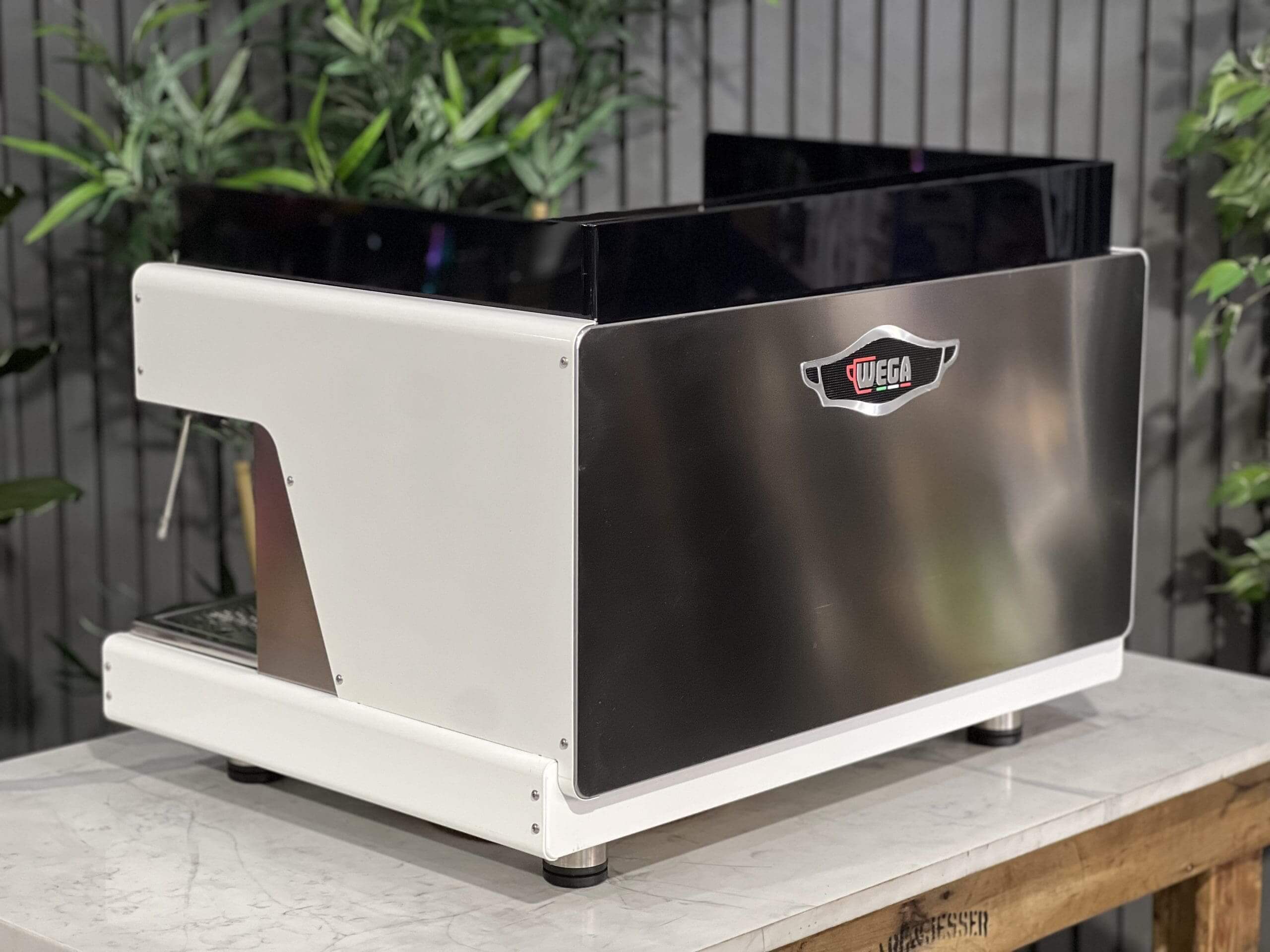 Wega Pegaso EVD 2 Group White - Used