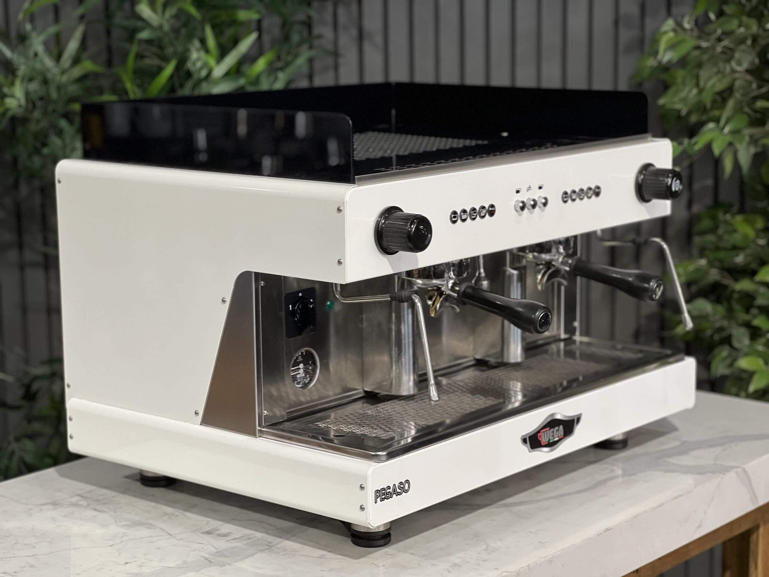 Wega Pegaso EVD 2 Group White - Used