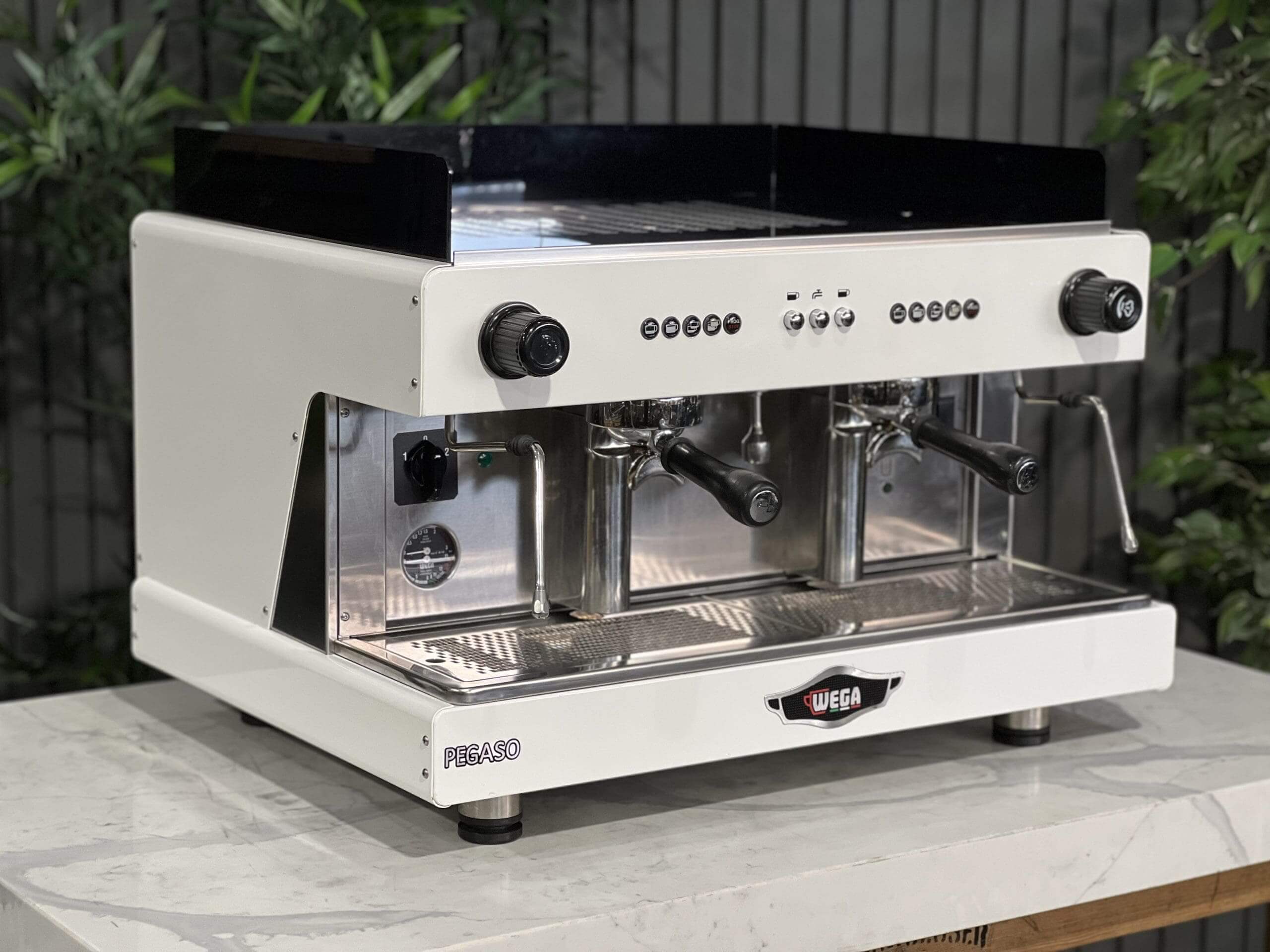 Wega Pegaso EVD 2 Group White - Used