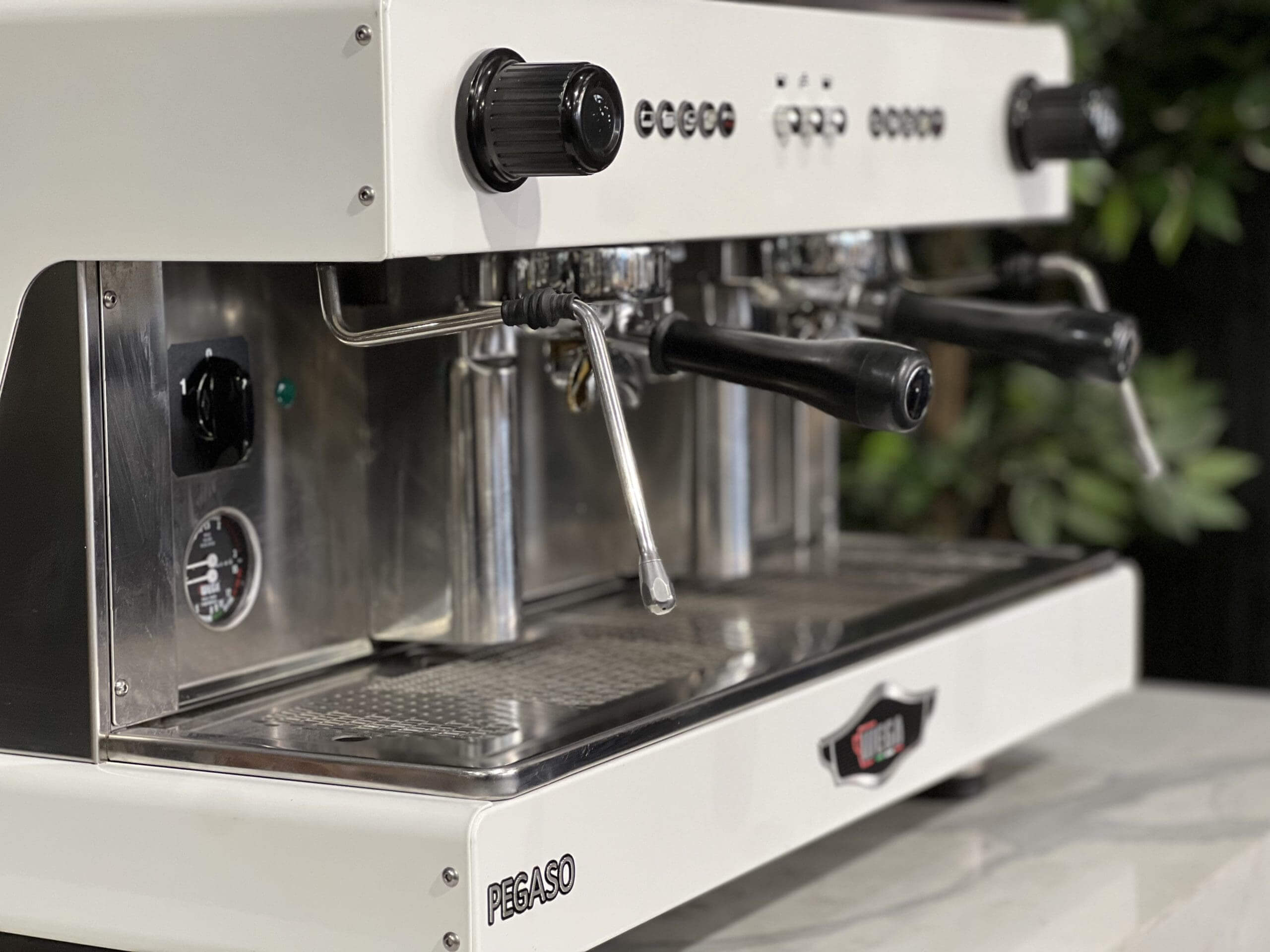 Wega Pegaso EVD 2 Group White - Used