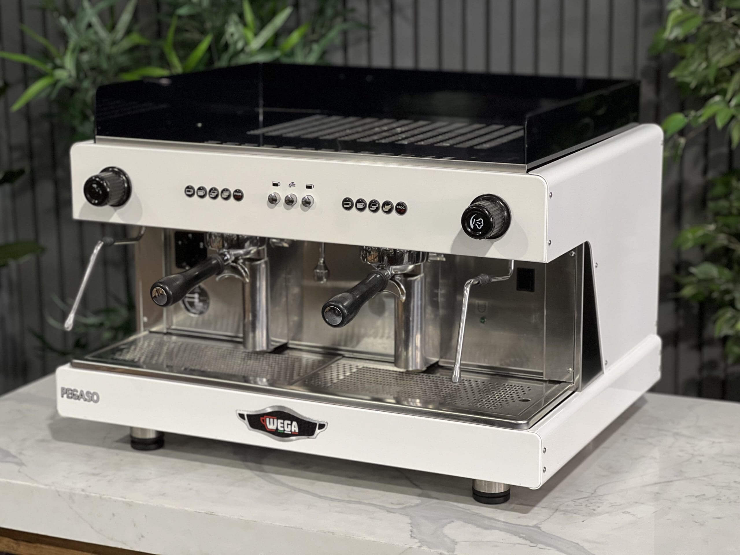 Wega Pegaso EVD 2 Group White - Used