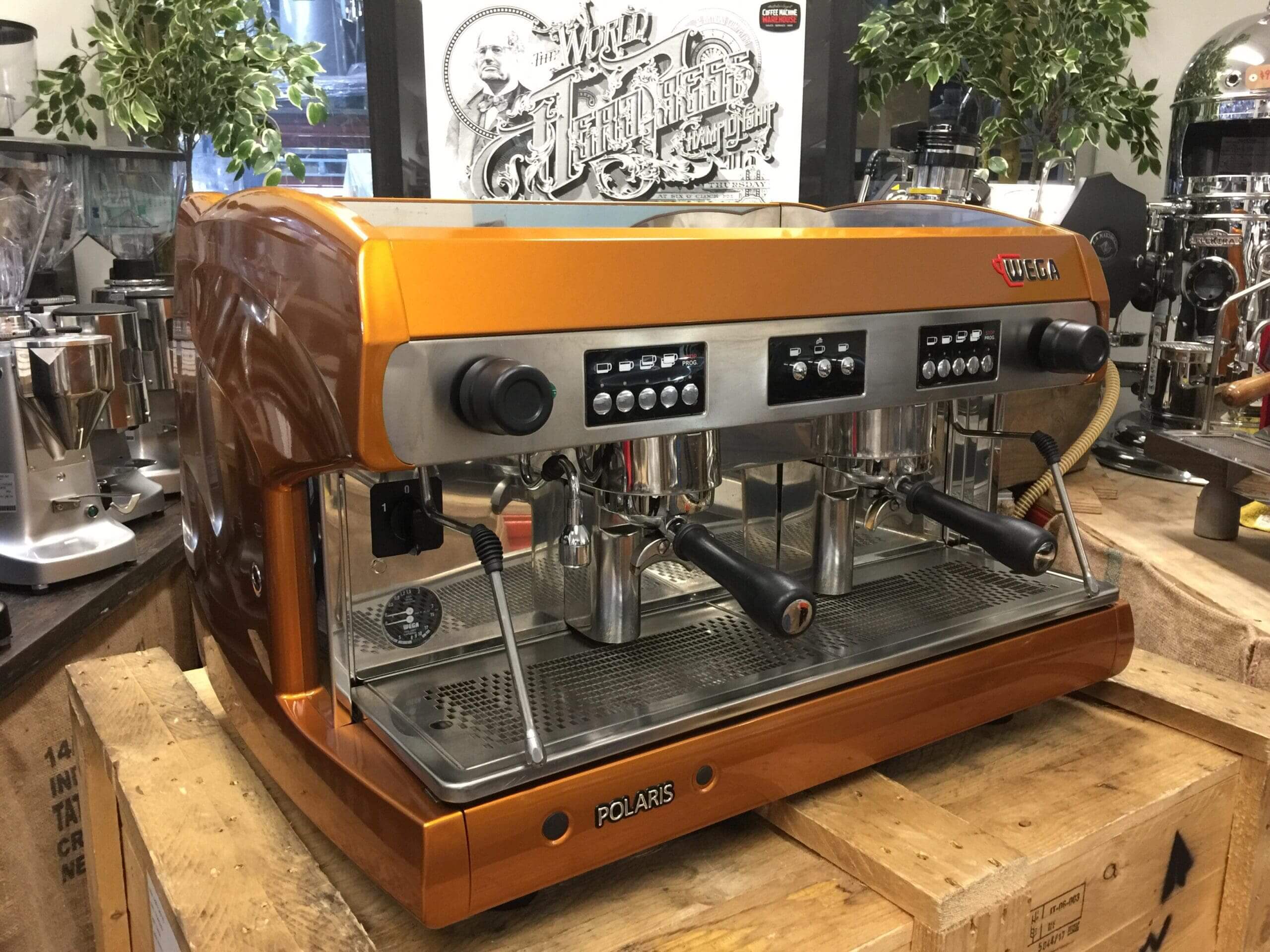 Wega Polaris 2 Group Low Cup Custom Bronze - Used