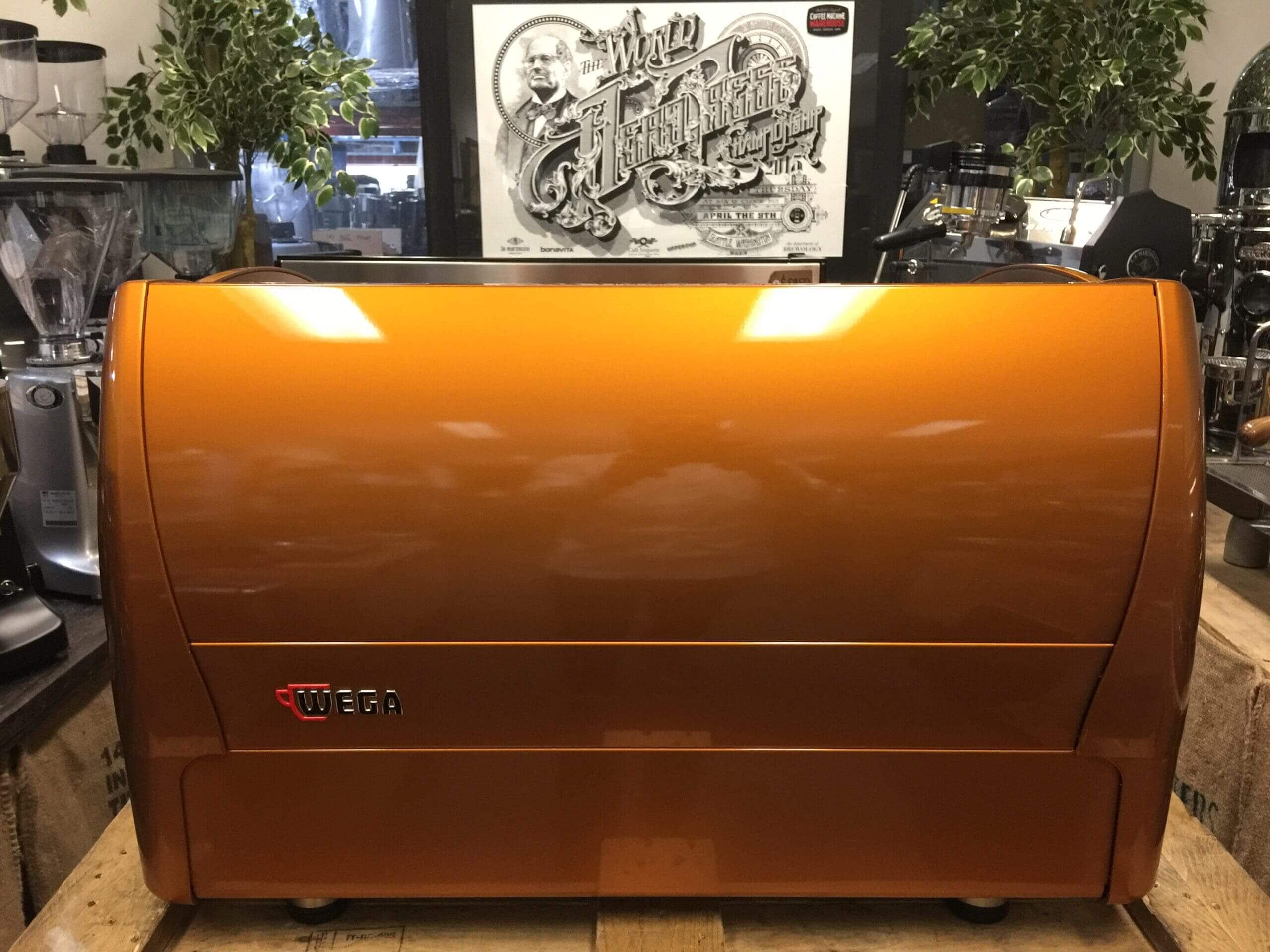 Wega Polaris 2 Group Low Cup Custom Bronze - Used