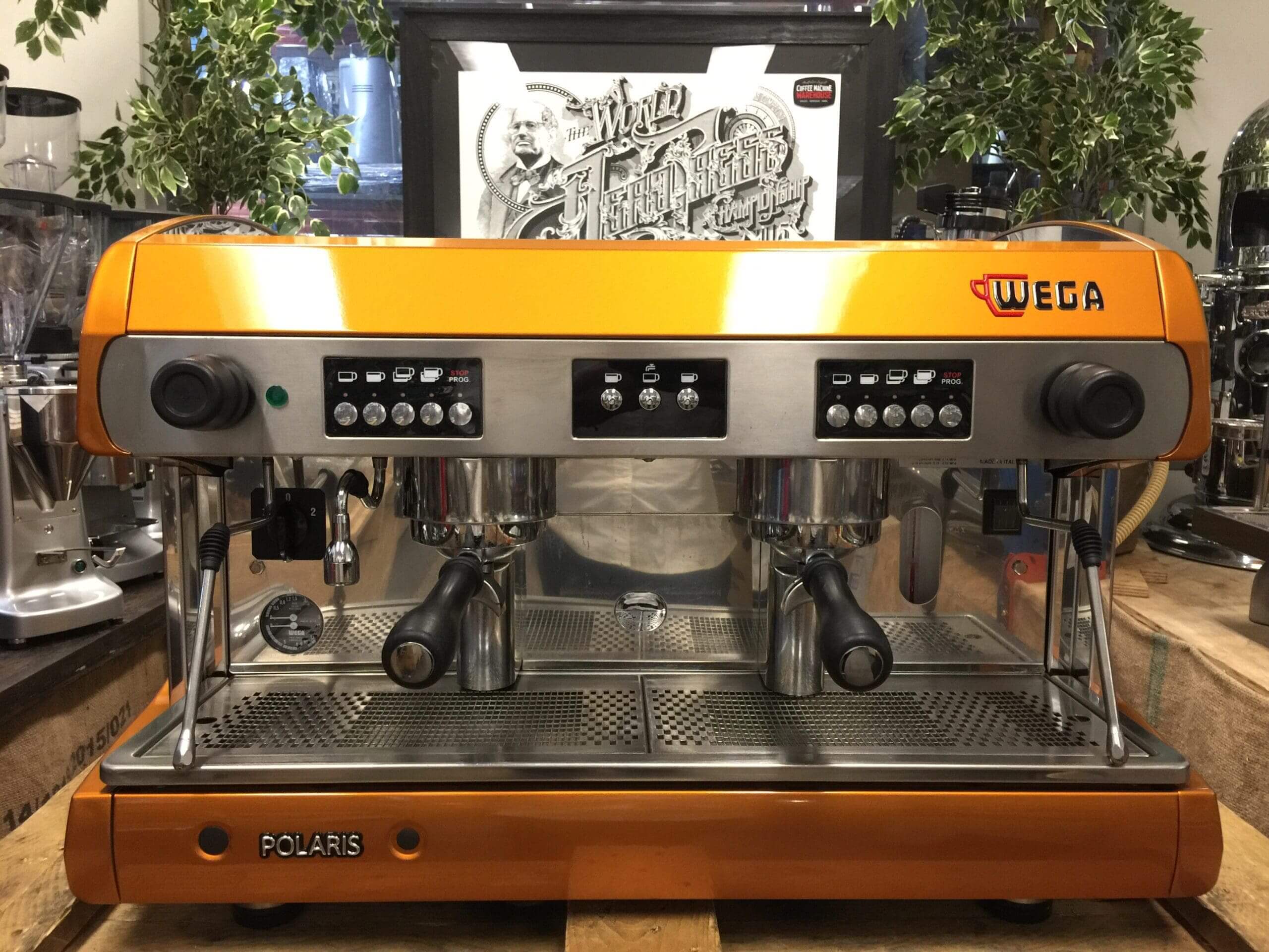 Wega Polaris 2 Group Low Cup Custom Bronze - Used