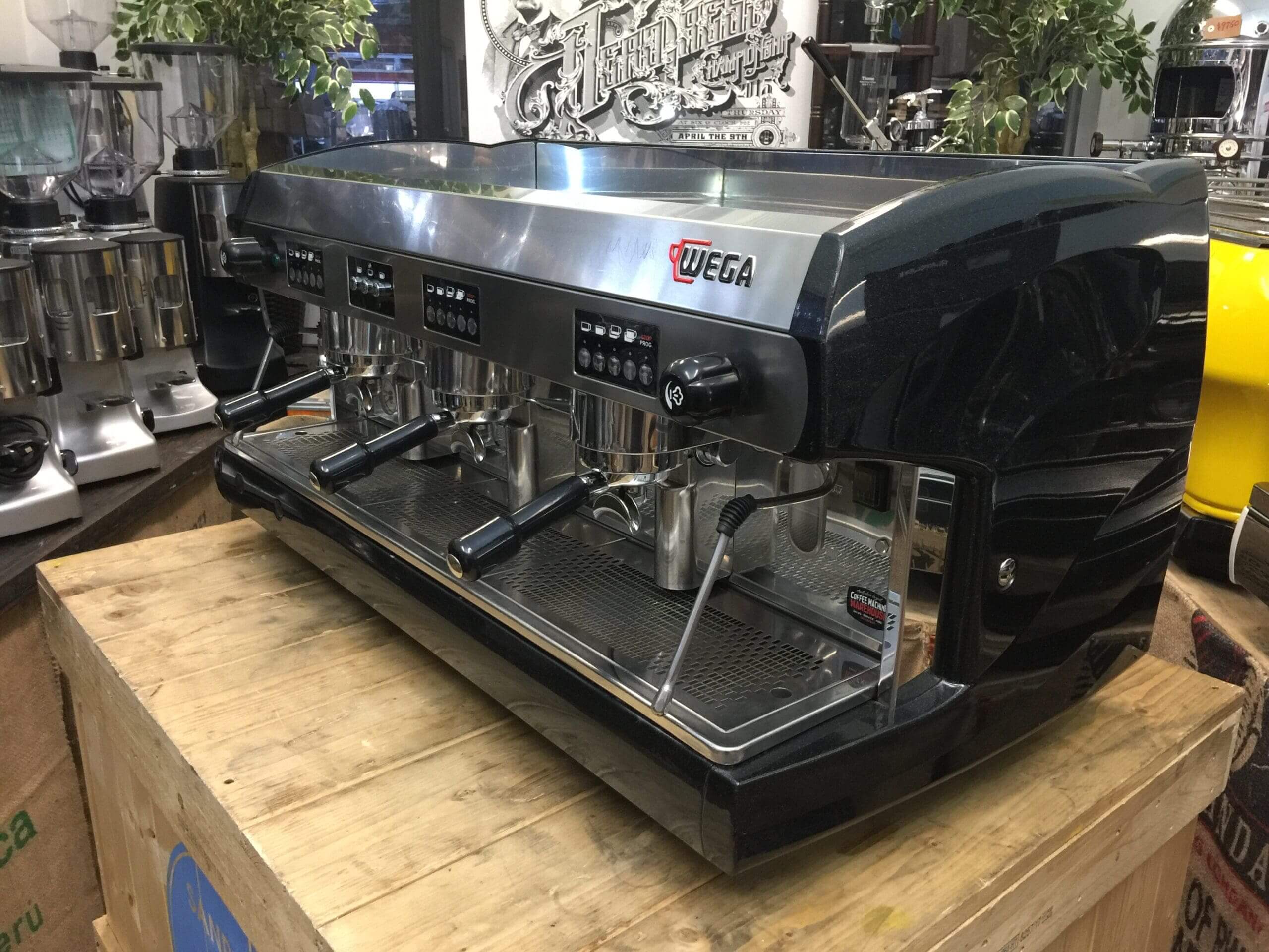 Wega  Polaris 3 Group Low Cup Metallic Black - Used