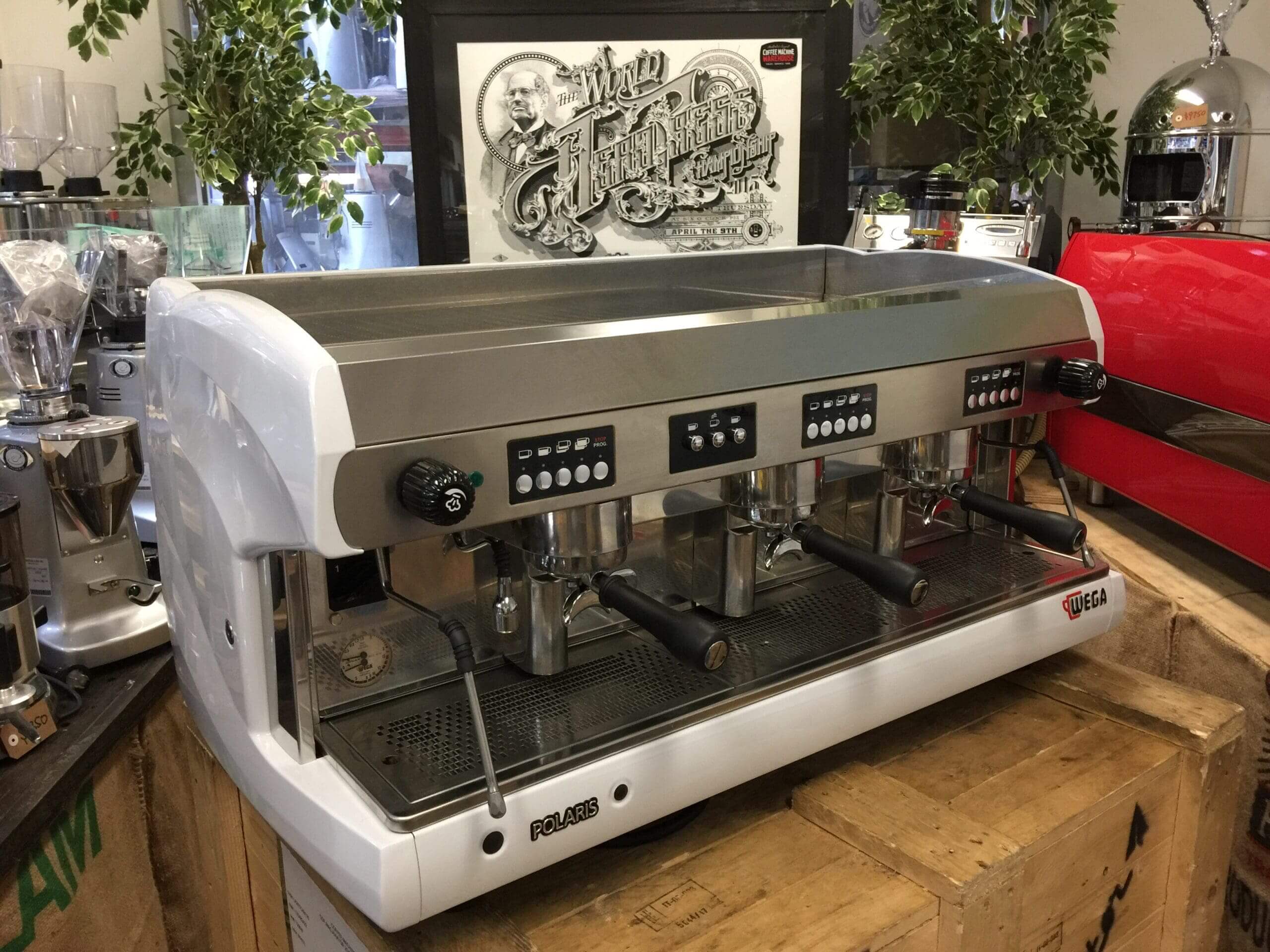 Wega  Polaris 3 Group Low Cup White - Used