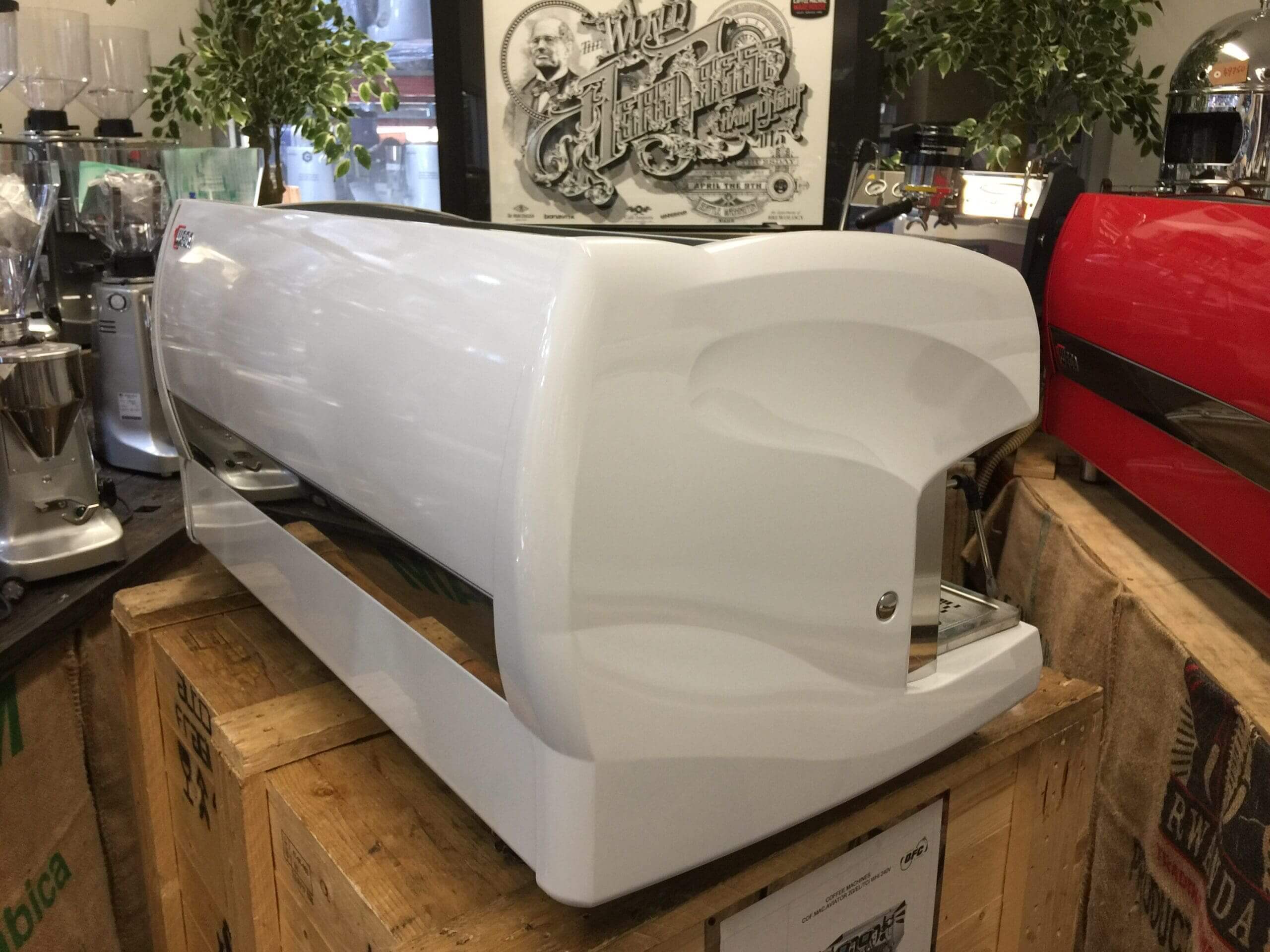 Wega  Polaris 3 Group Low Cup White - Used