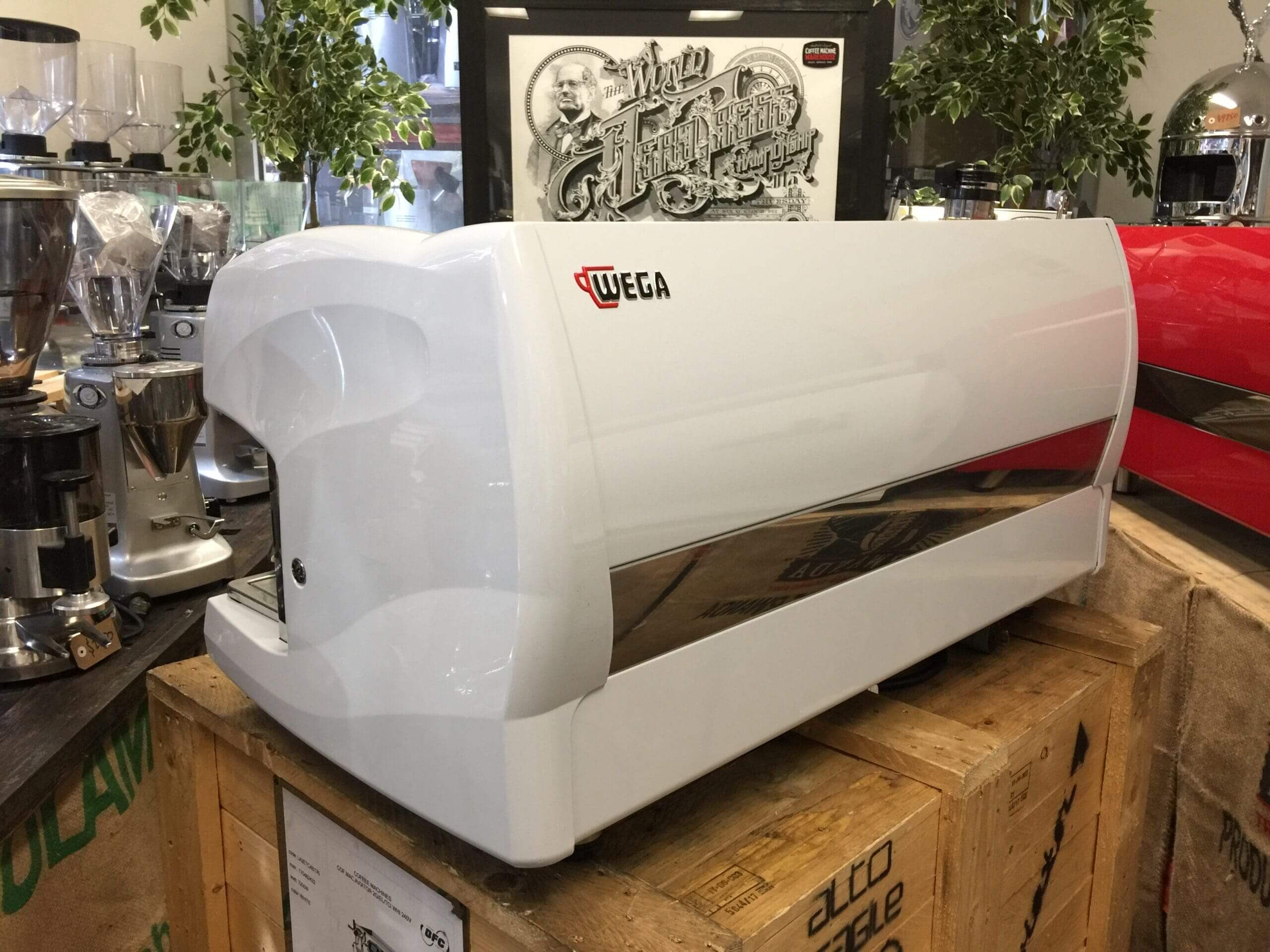 Wega  Polaris 3 Group Low Cup White - Used