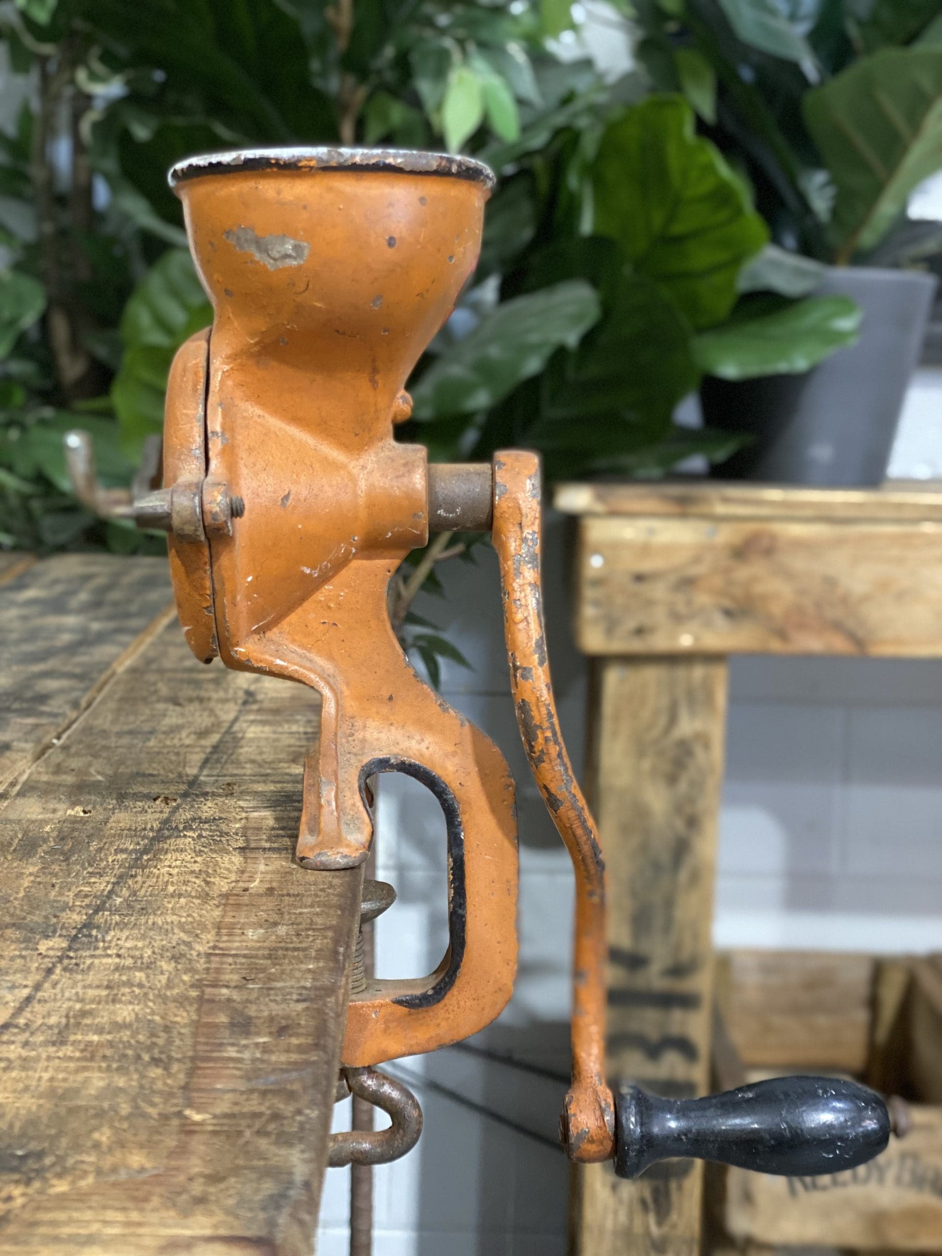 #152 1890’s Beatrice The Comet Bench Top Hand Coffee Grinder