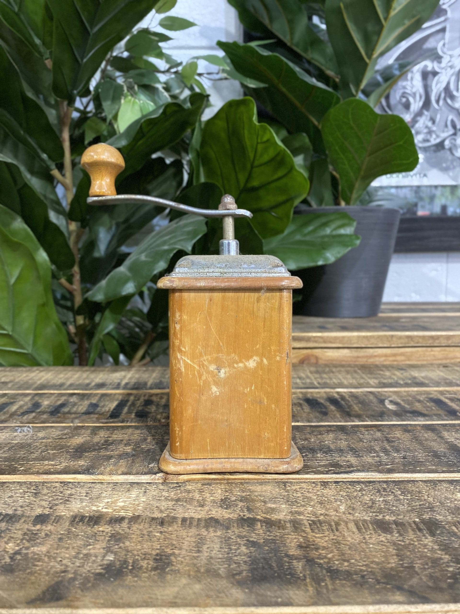 #44 1940’s Zassenhaus Elongated Wooden Hand Coffee Grinder
