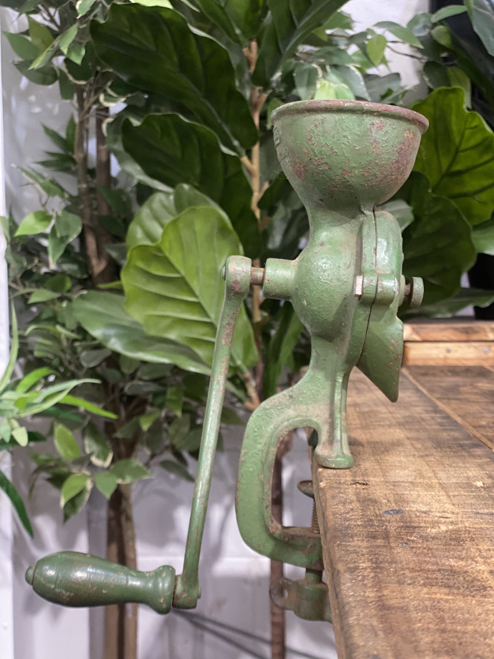 #48 1900’s Beatrice Bench Clamp Cast Iron Hand Coffee Grinder