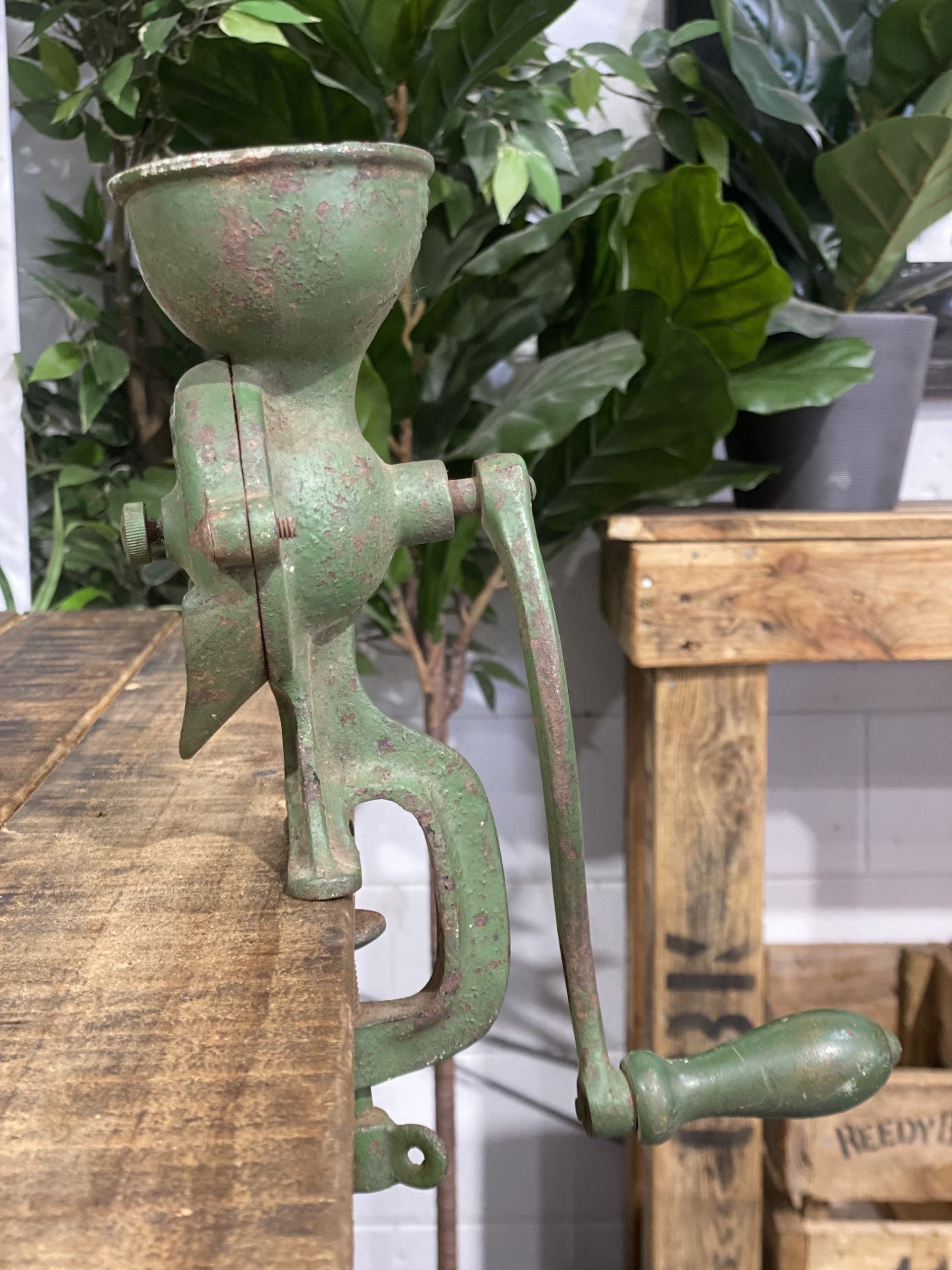 #48 1900’s Beatrice Bench Clamp Cast Iron Hand Coffee Grinder