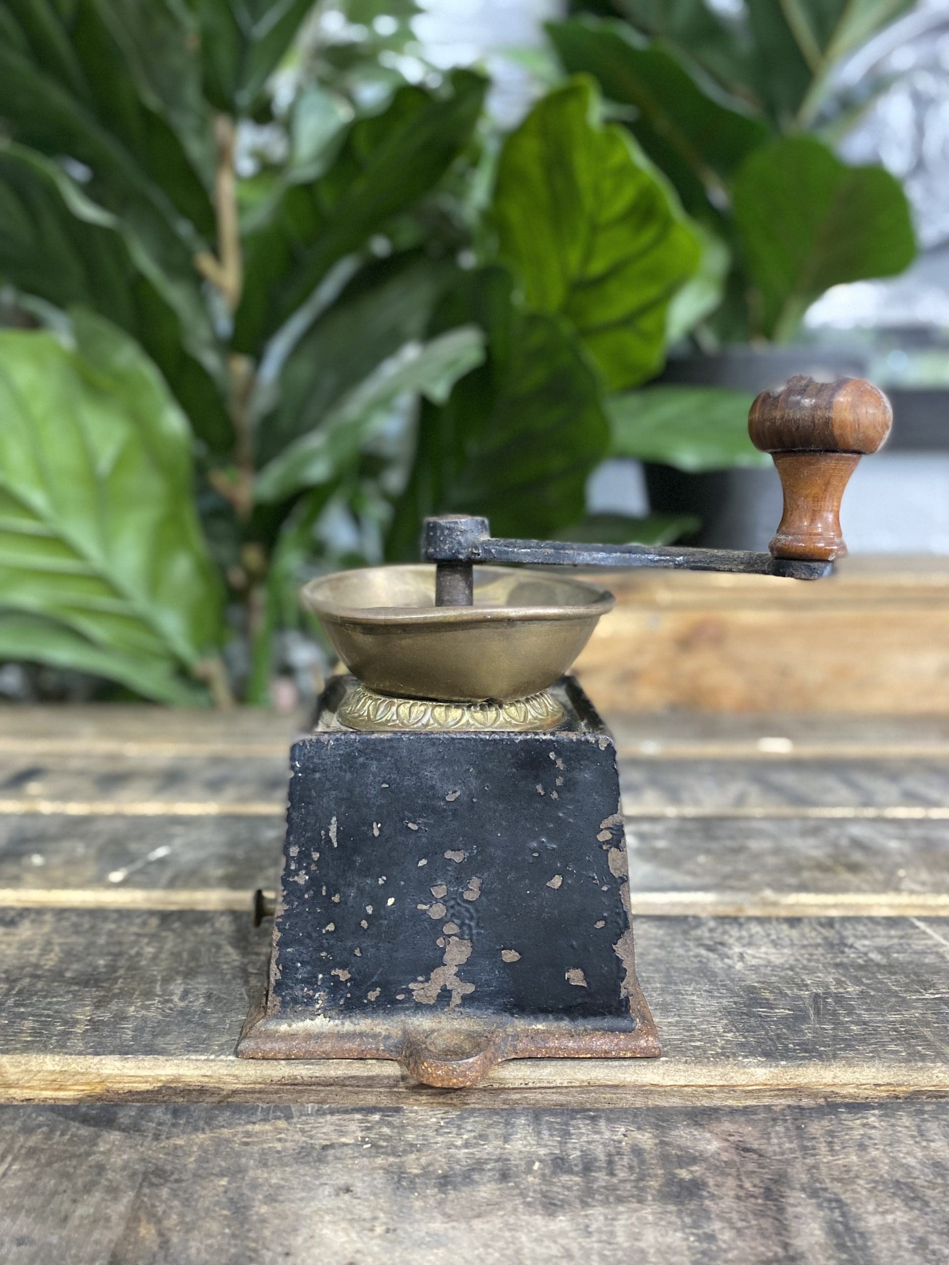 1880’s Kendrick Cast Iron Bench Mounted Hand Coffee Grinder