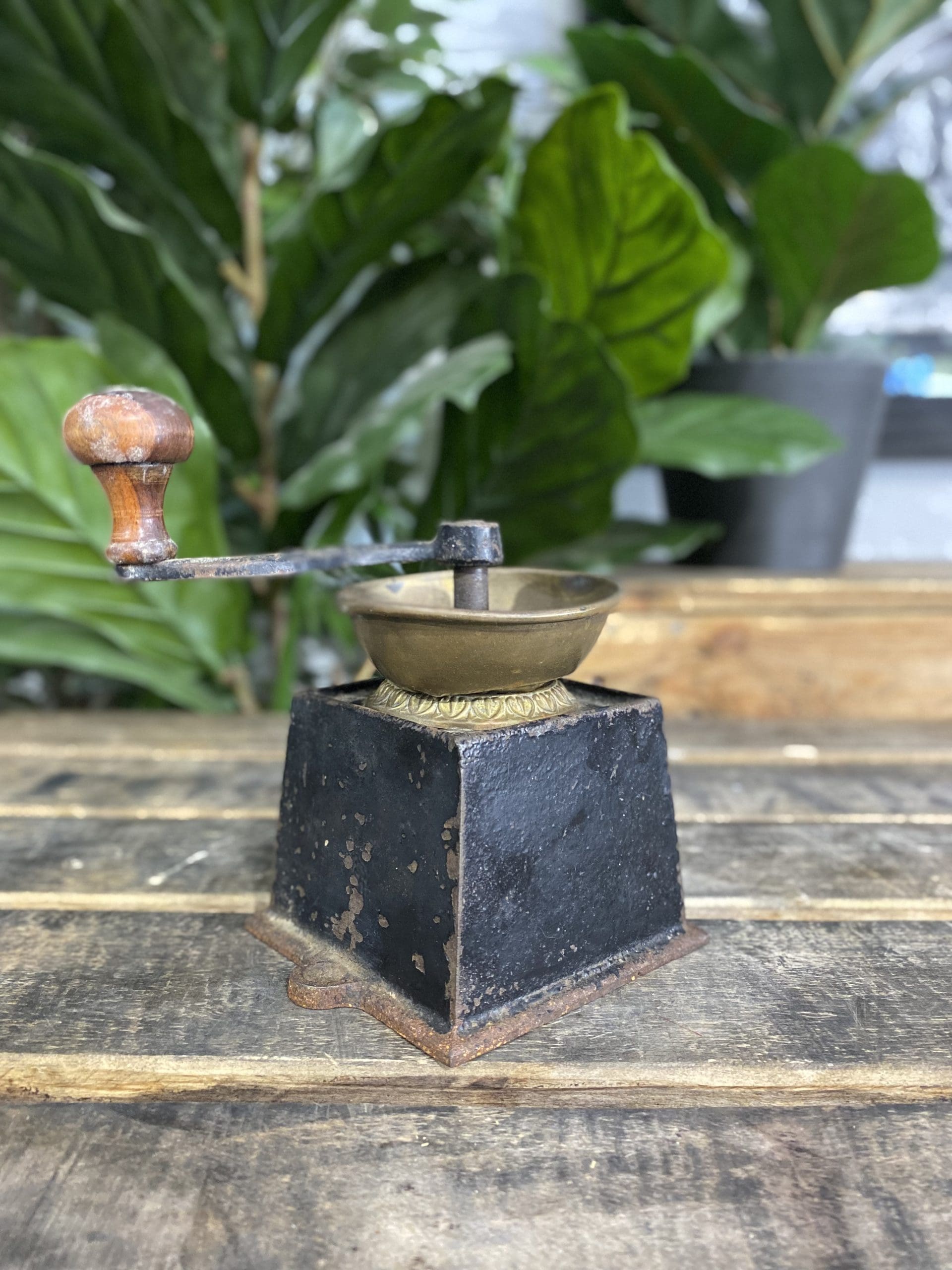 1880’s Kendrick Cast Iron Bench Mounted Hand Coffee Grinder