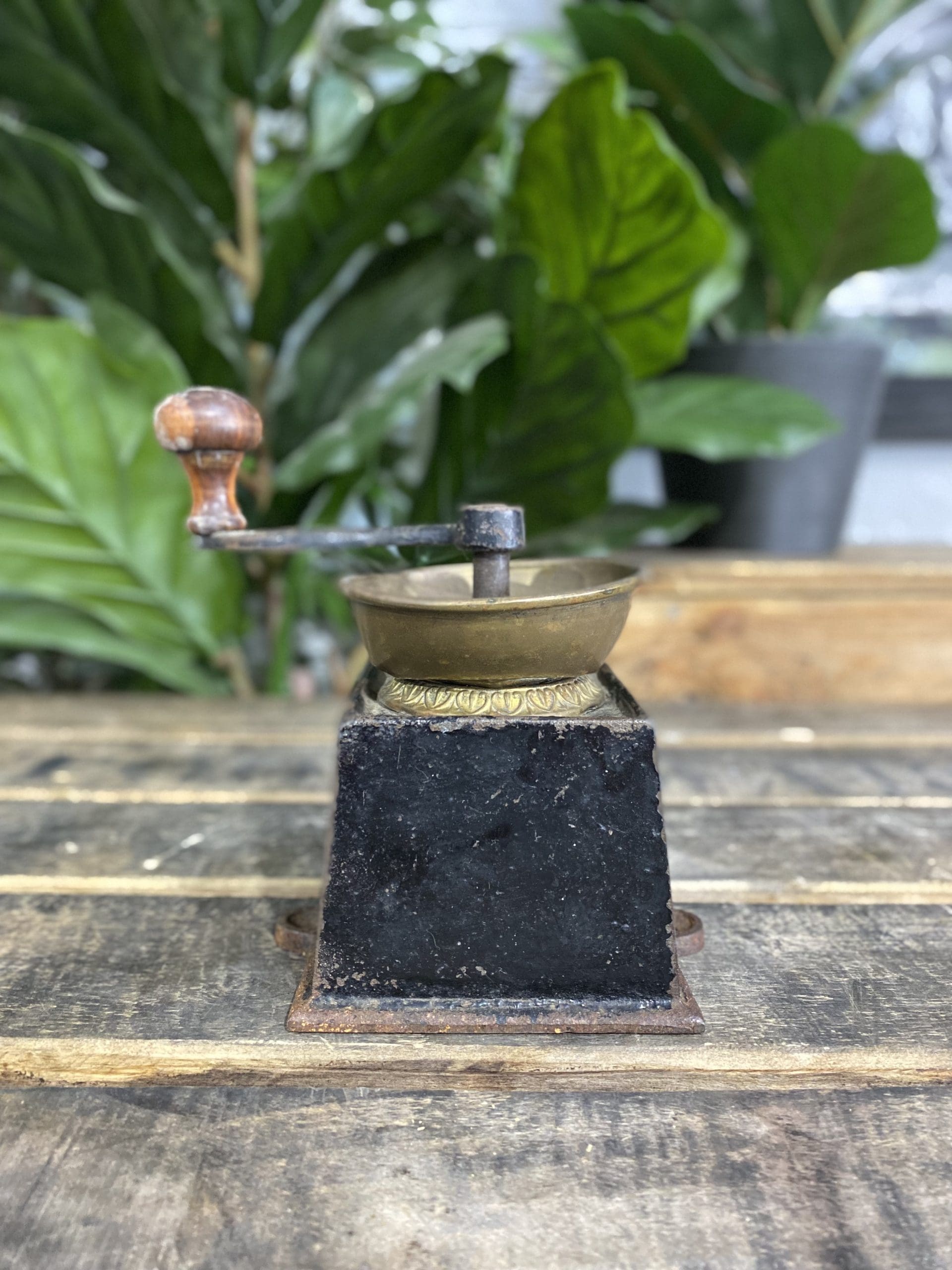 1880’s Kendrick Cast Iron Bench Mounted Hand Coffee Grinder