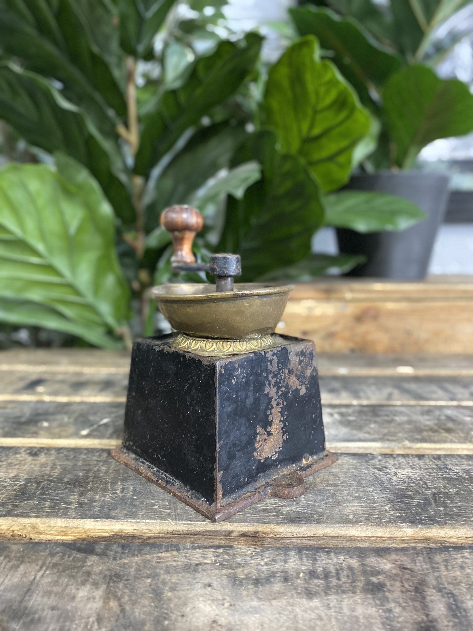 1880’s Kendrick Cast Iron Bench Mounted Hand Coffee Grinder