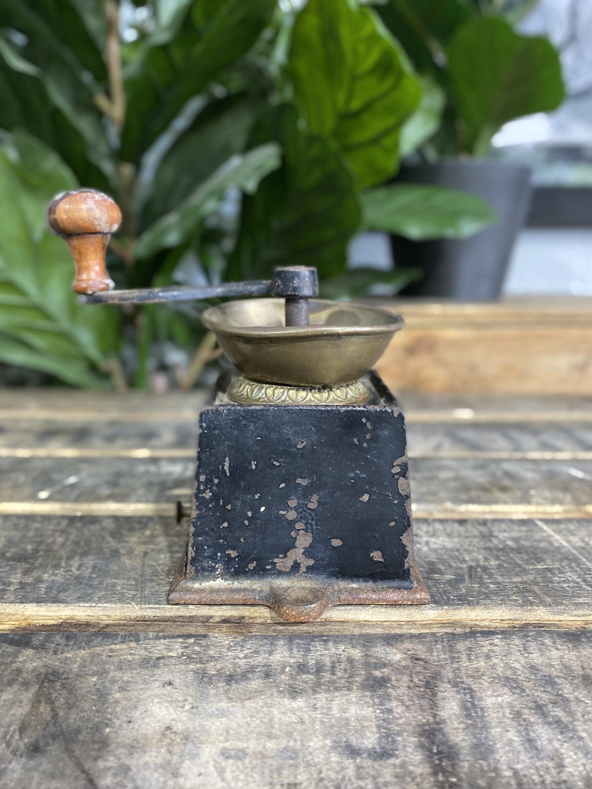 1880’s Kendrick Cast Iron Bench Mounted Hand Coffee Grinder