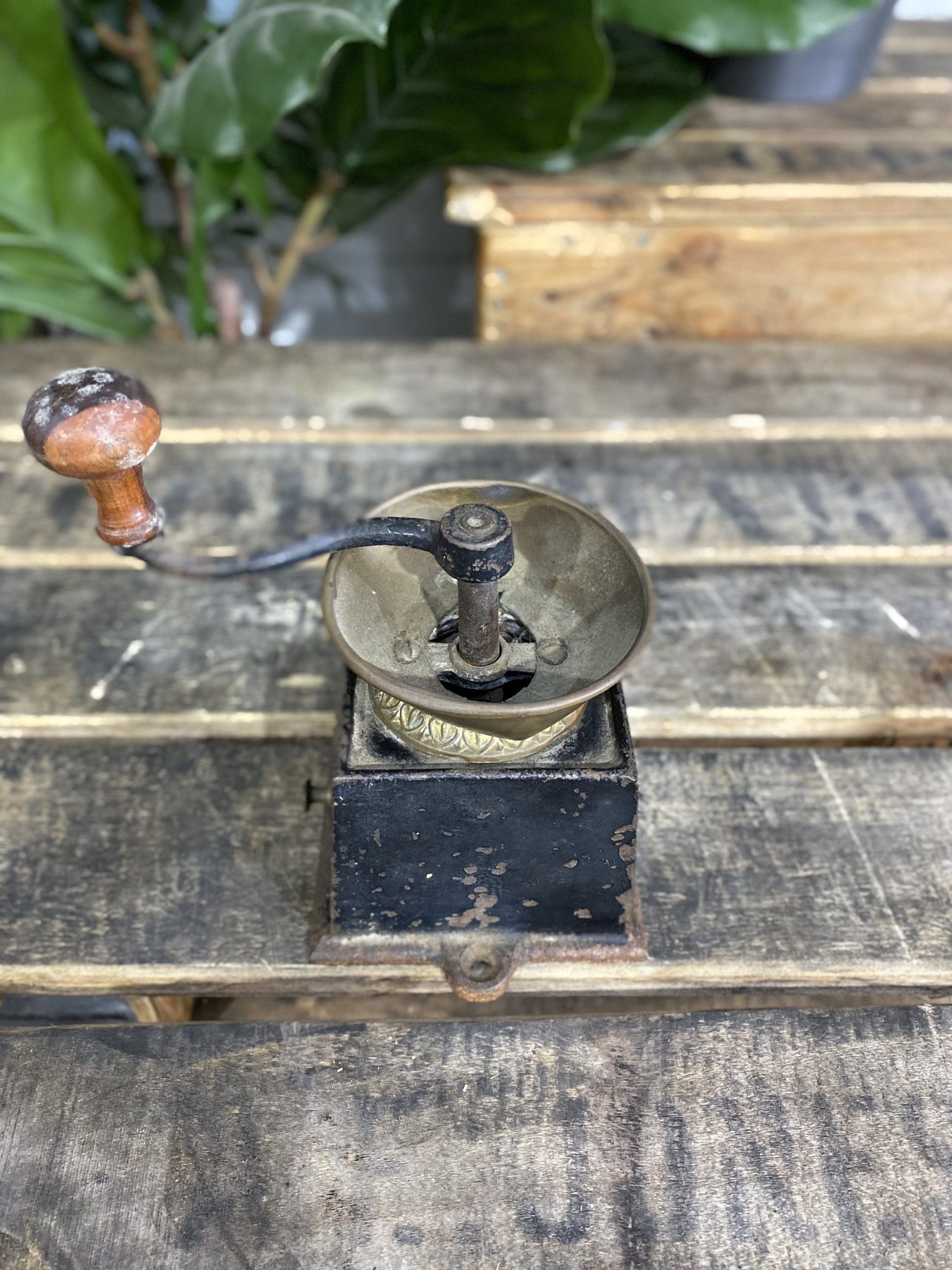 1880’s Kendrick Cast Iron Bench Mounted Hand Coffee Grinder