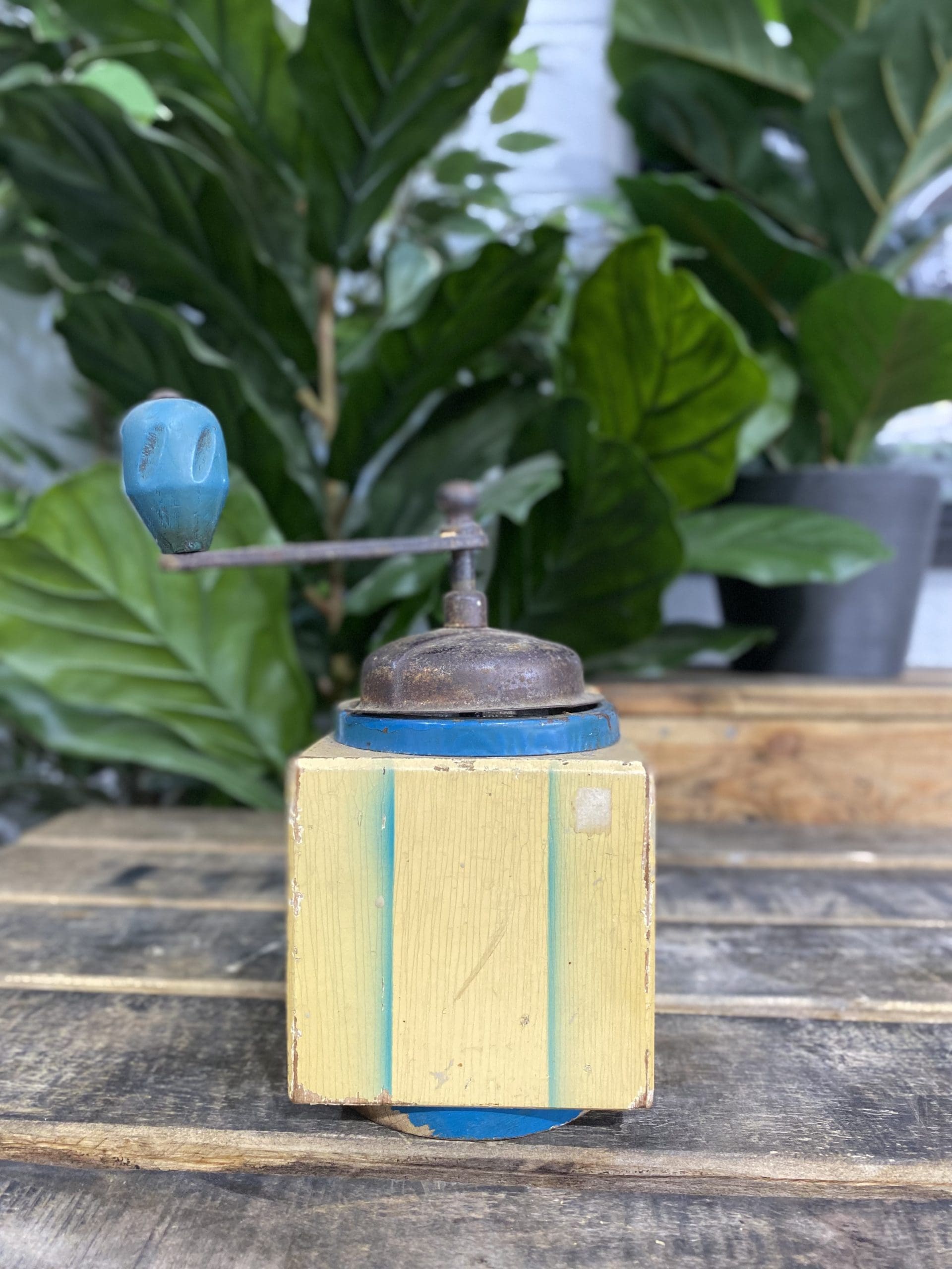 1930’s Working Tre Spade Wooden Hand Coffee Grinder