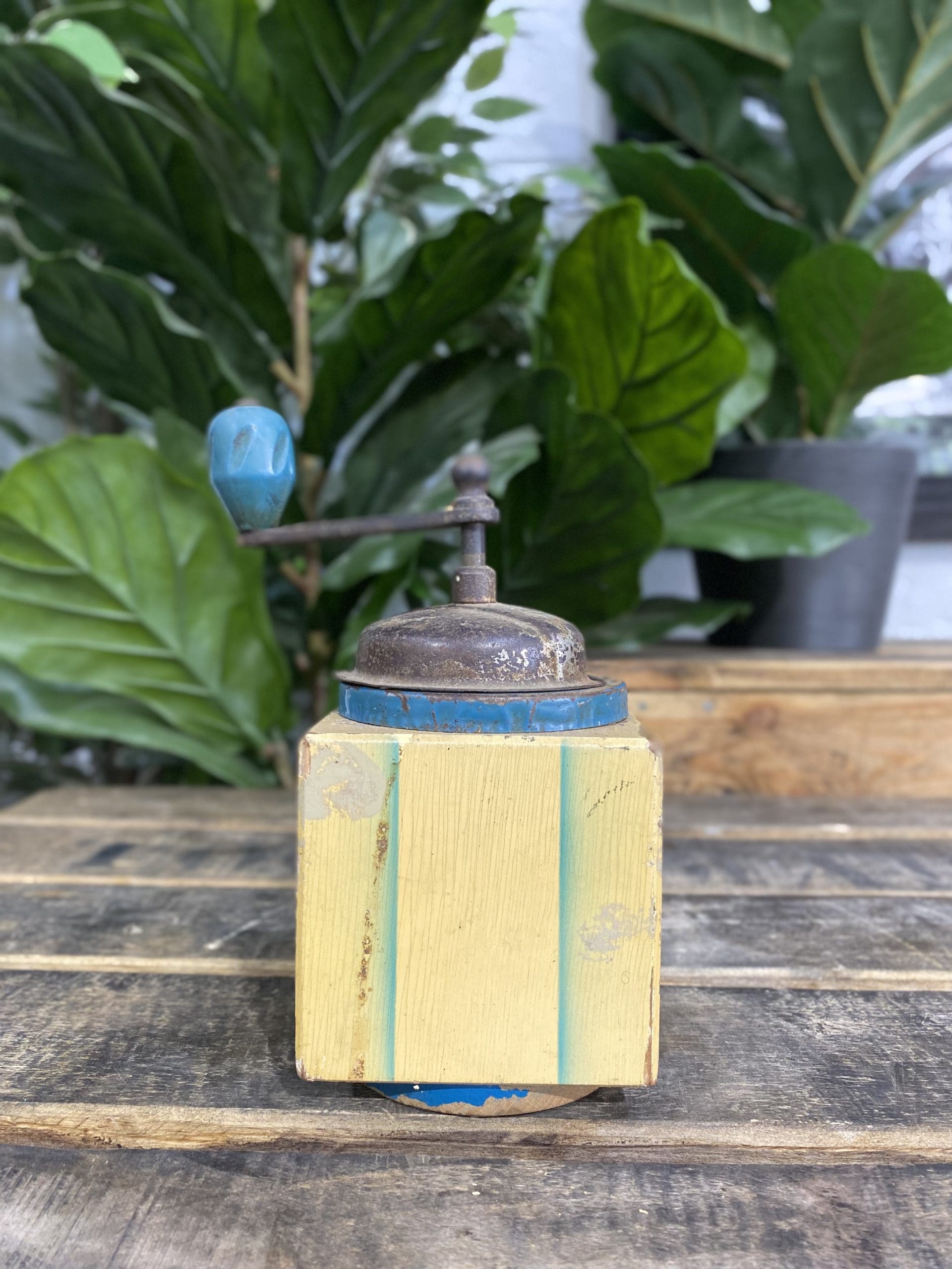 1930’s Working Tre Spade Wooden Hand Coffee Grinder