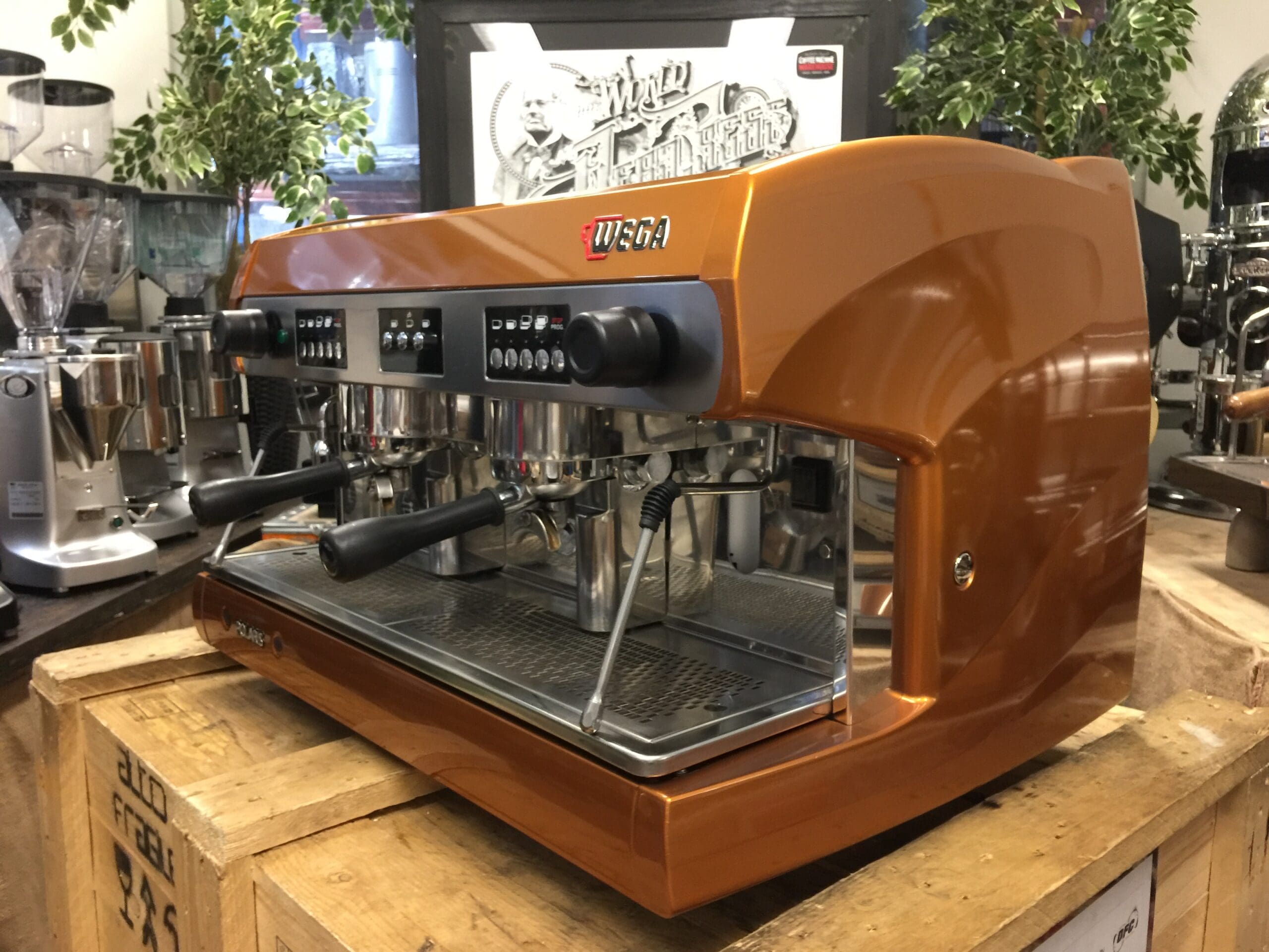 Wega Polaris 2 Group Low Cup Custom Bronze